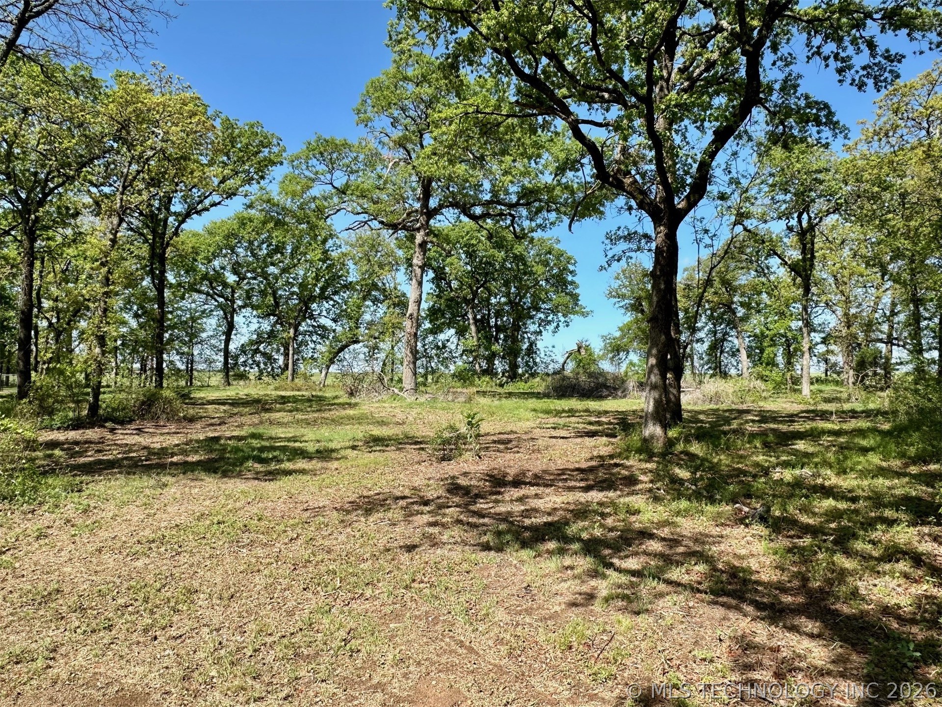 12244 Longboard Loop Property Photo 1