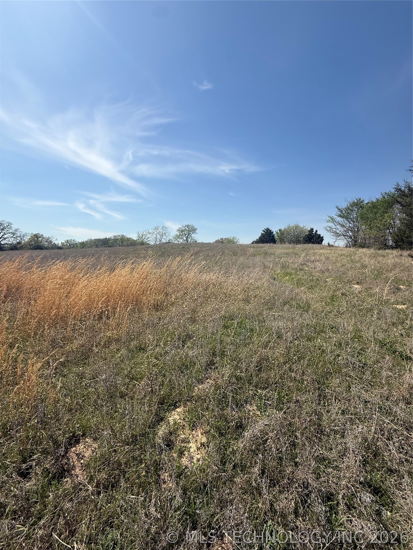 2427 Dickson Rd Road Property Photo 1