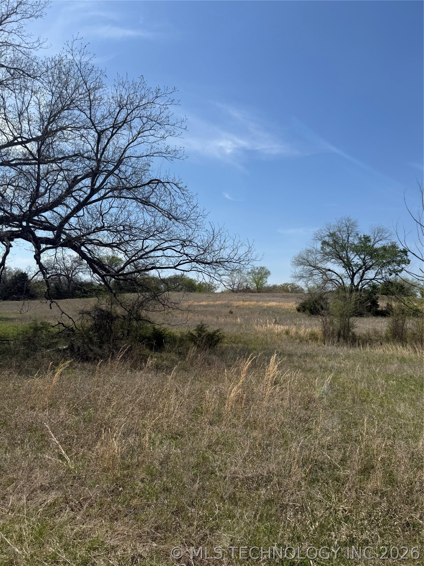 2427 Dickson Rd Road Property Photo 2