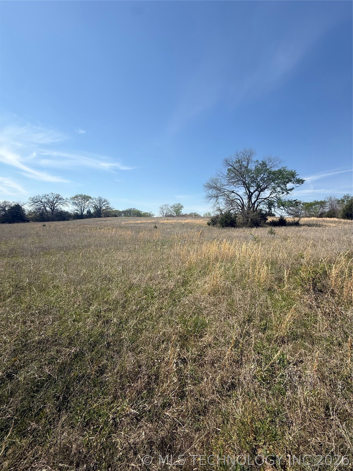 2427 Dickson Rd Road Property Photo 4