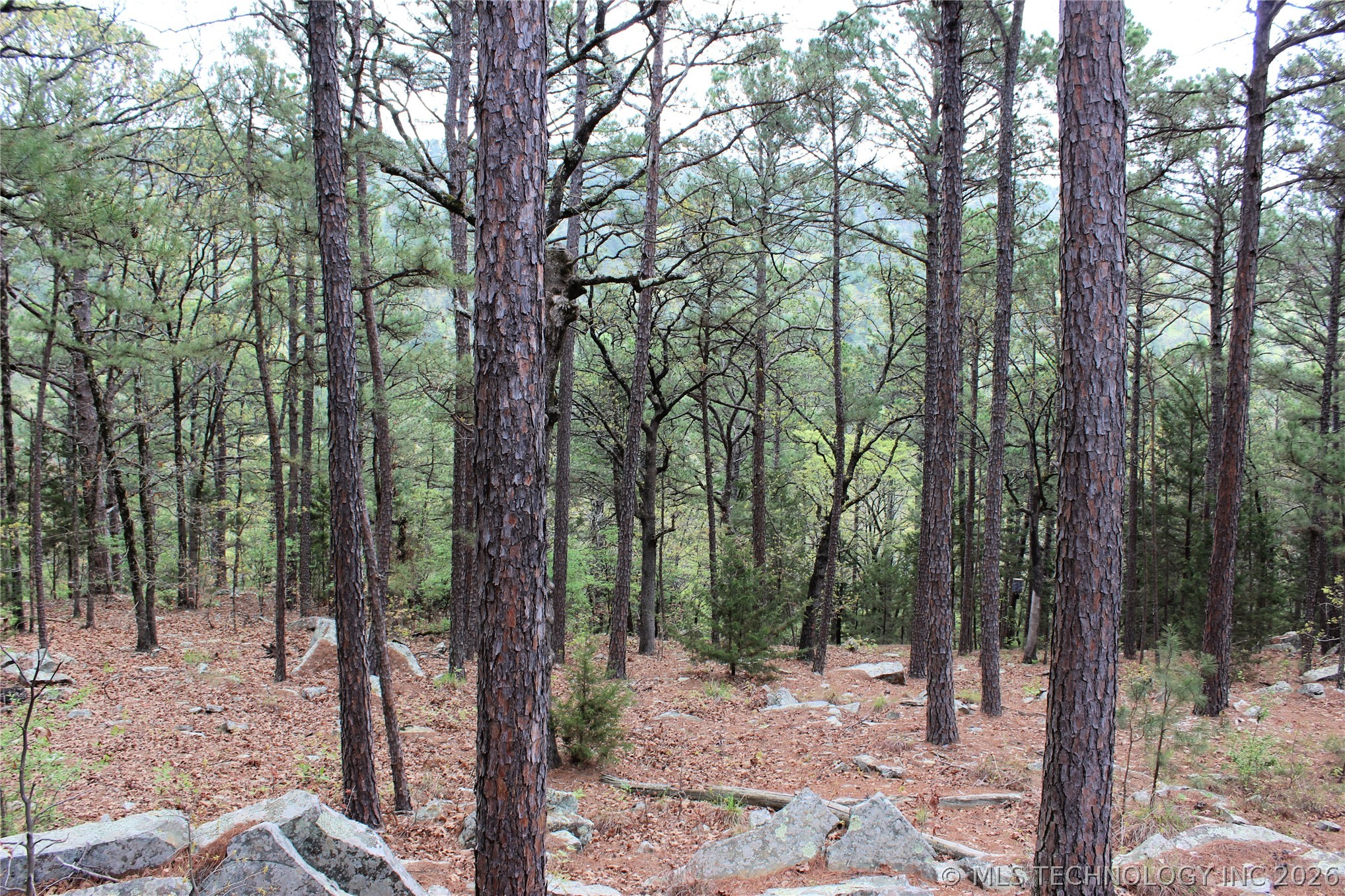 15 Autumn Trail Property Photo 28