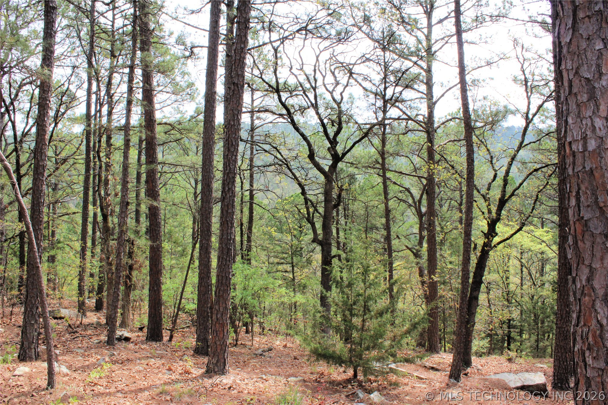 15 Autumn Trail Property Photo 33