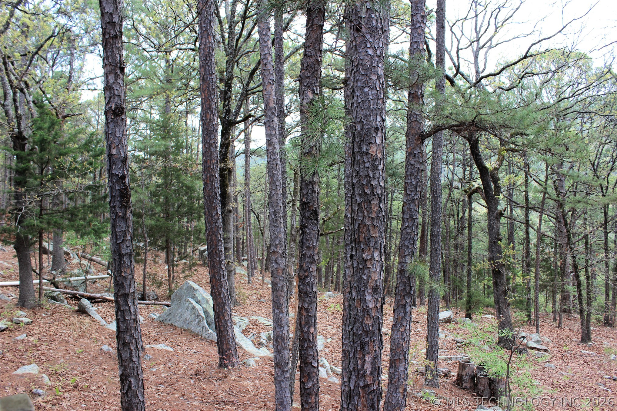 15 Autumn Trail Property Photo 34