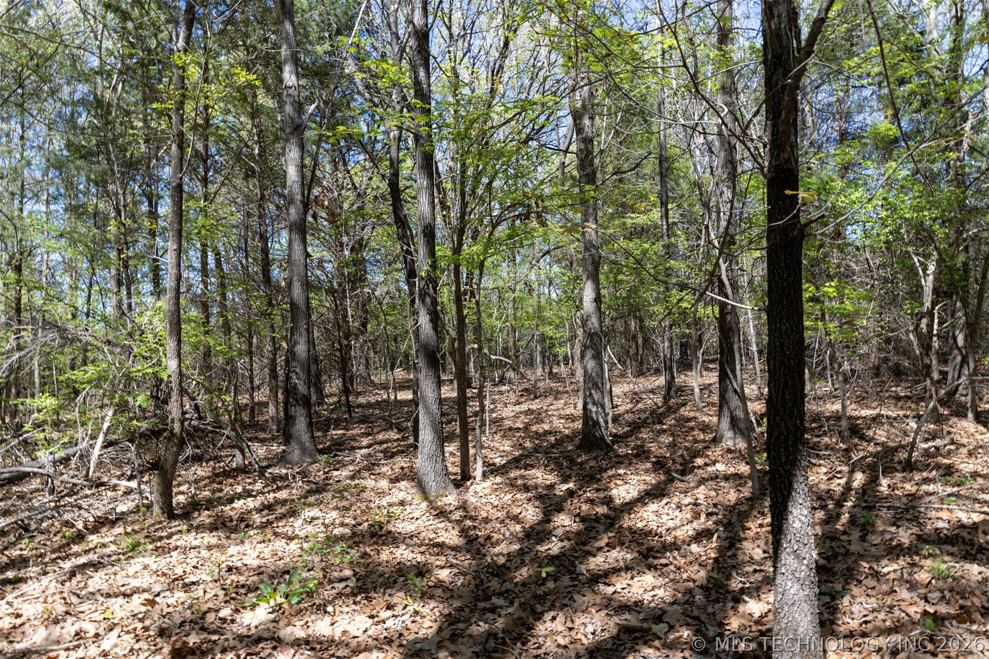 4 E 1180 Road Property Photo 18