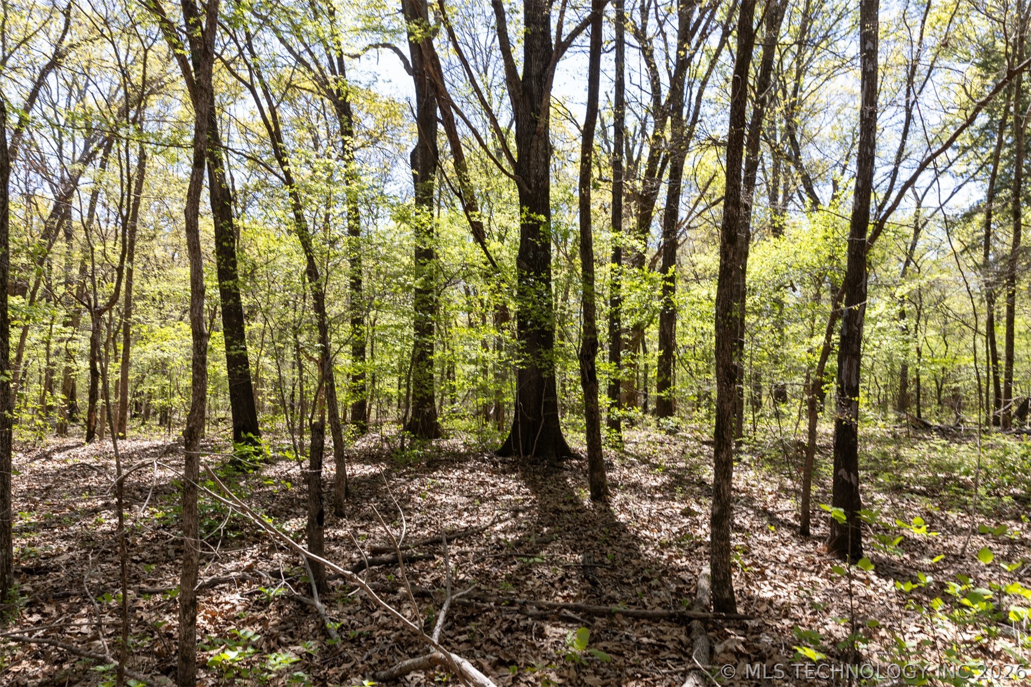 4 E 1180 Road Property Photo 19
