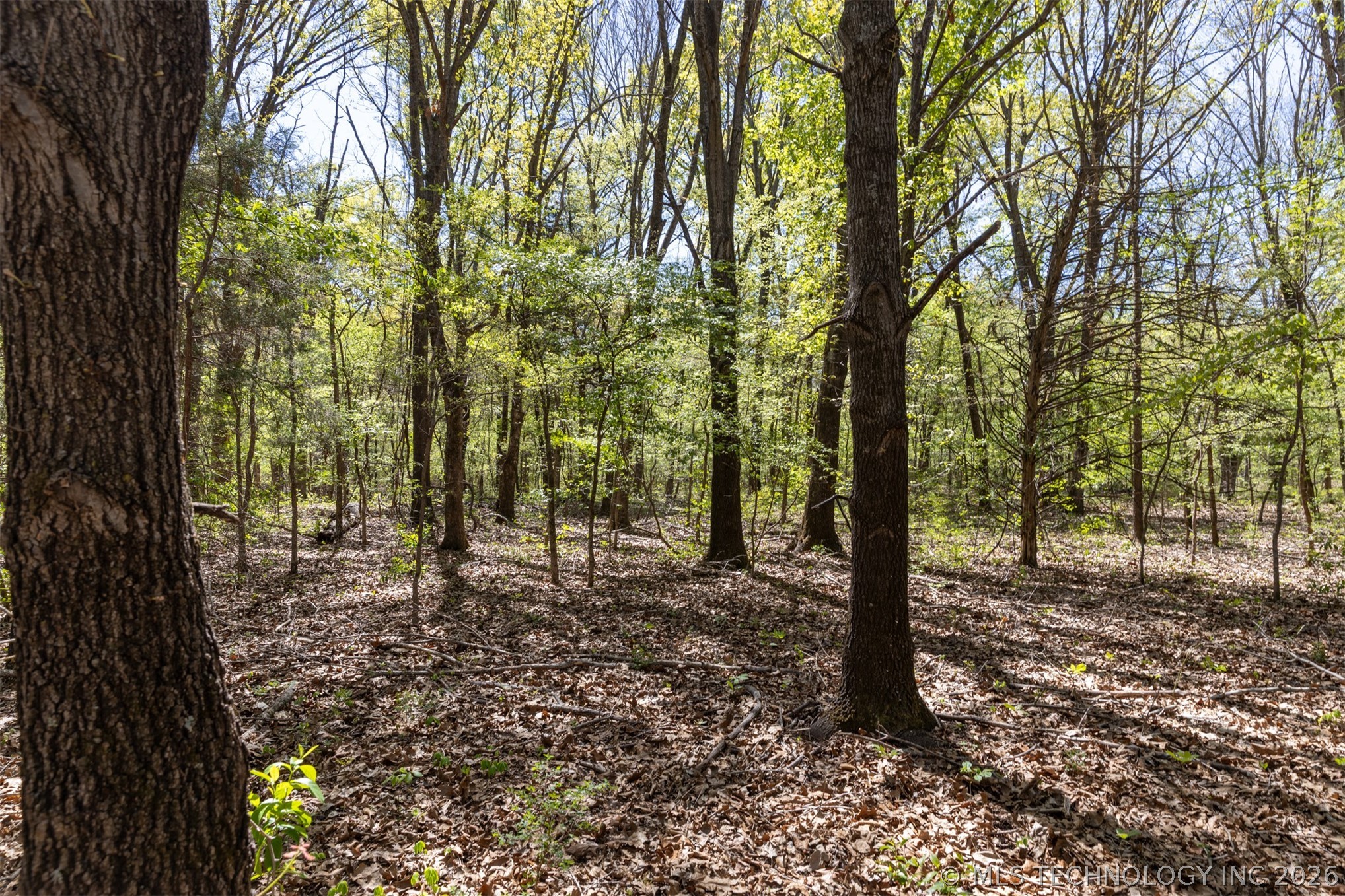 4 E 1180 Road Property Photo 22