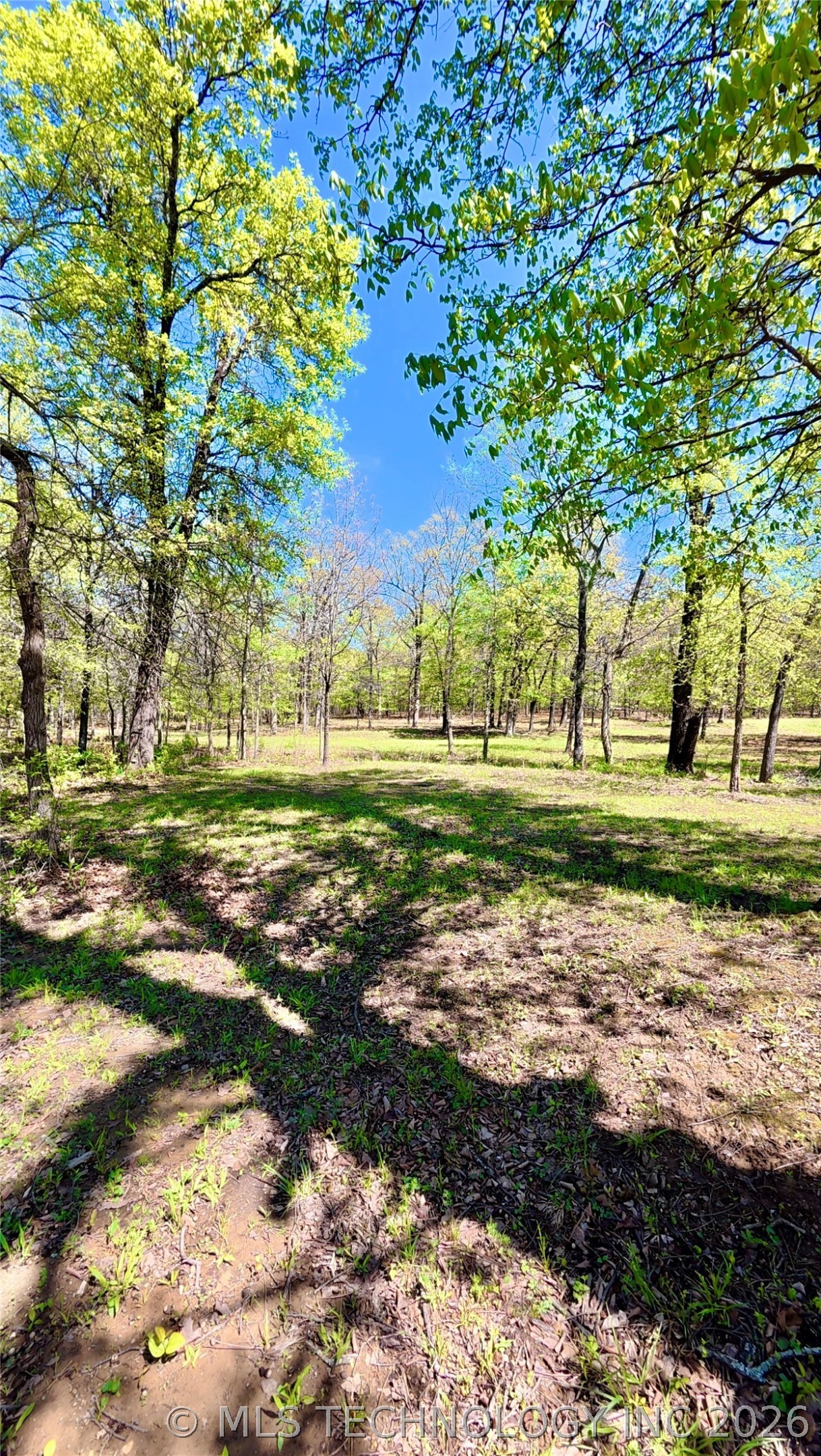 26 Duchess Creek Property Photo 3