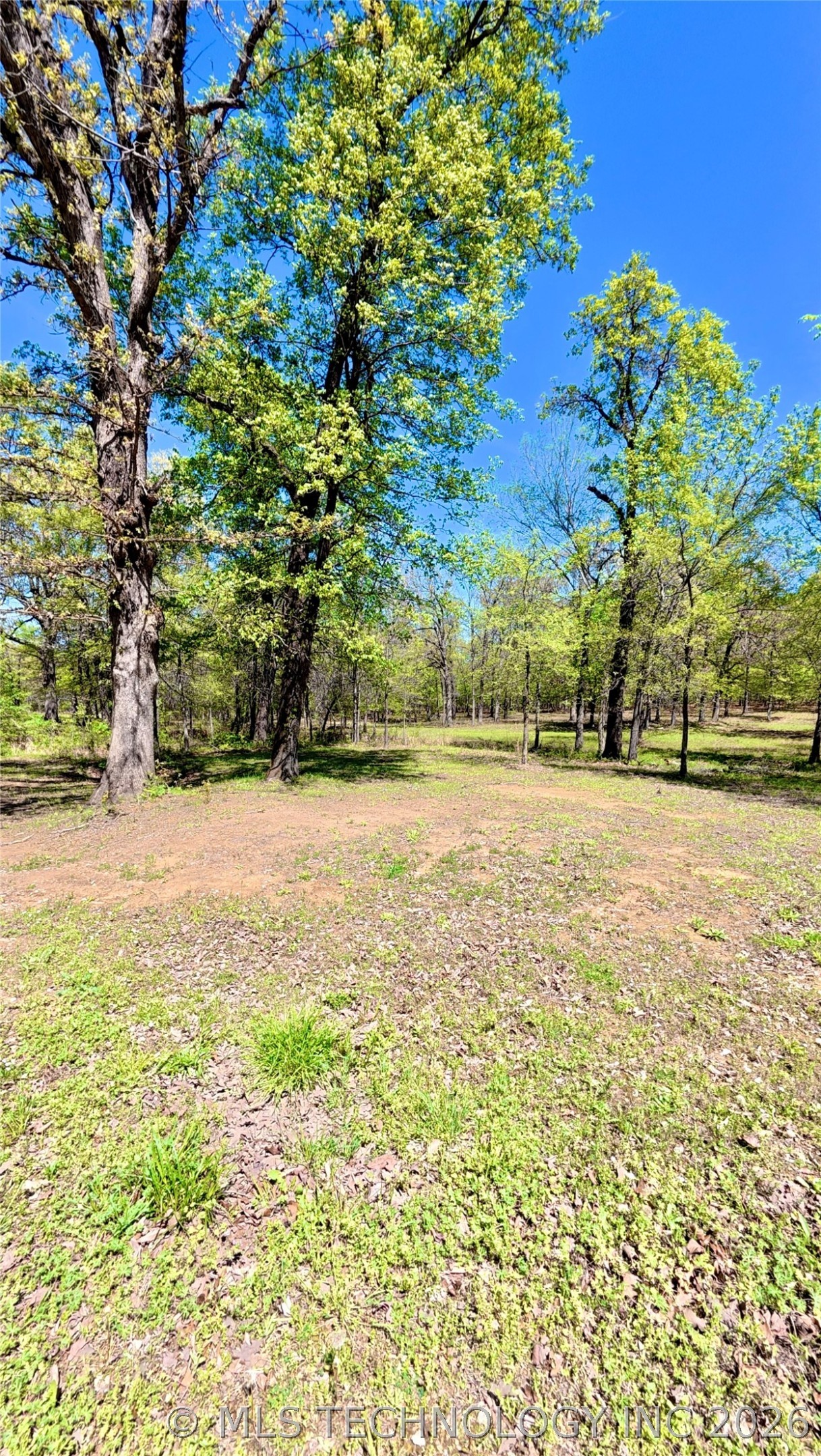 26 Duchess Creek Property Photo 4