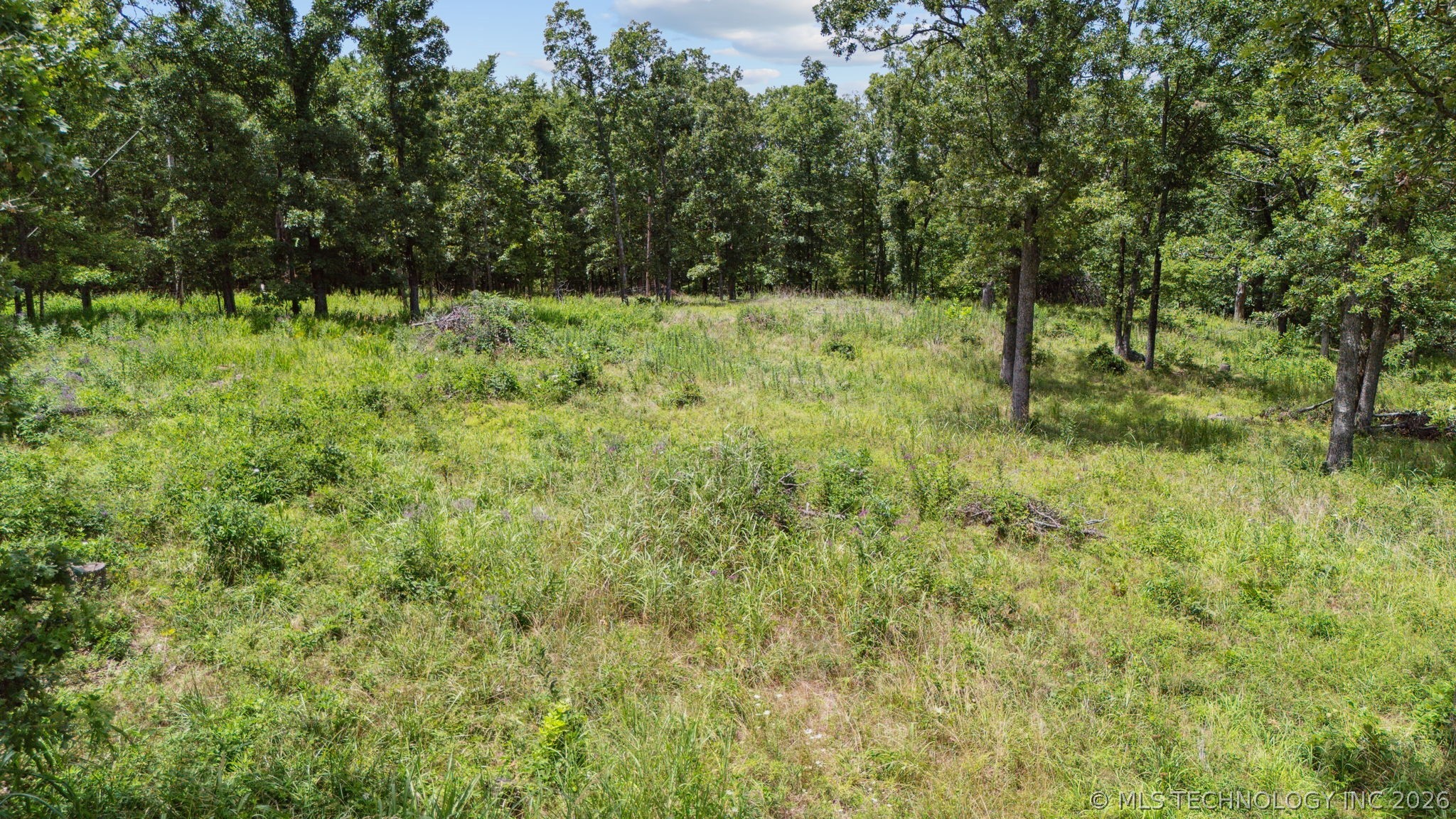 18870 Timberlake Drive Property Photo 2