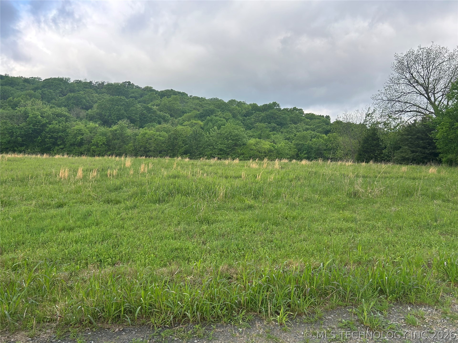 3 E Thunder Road Property Photo 2