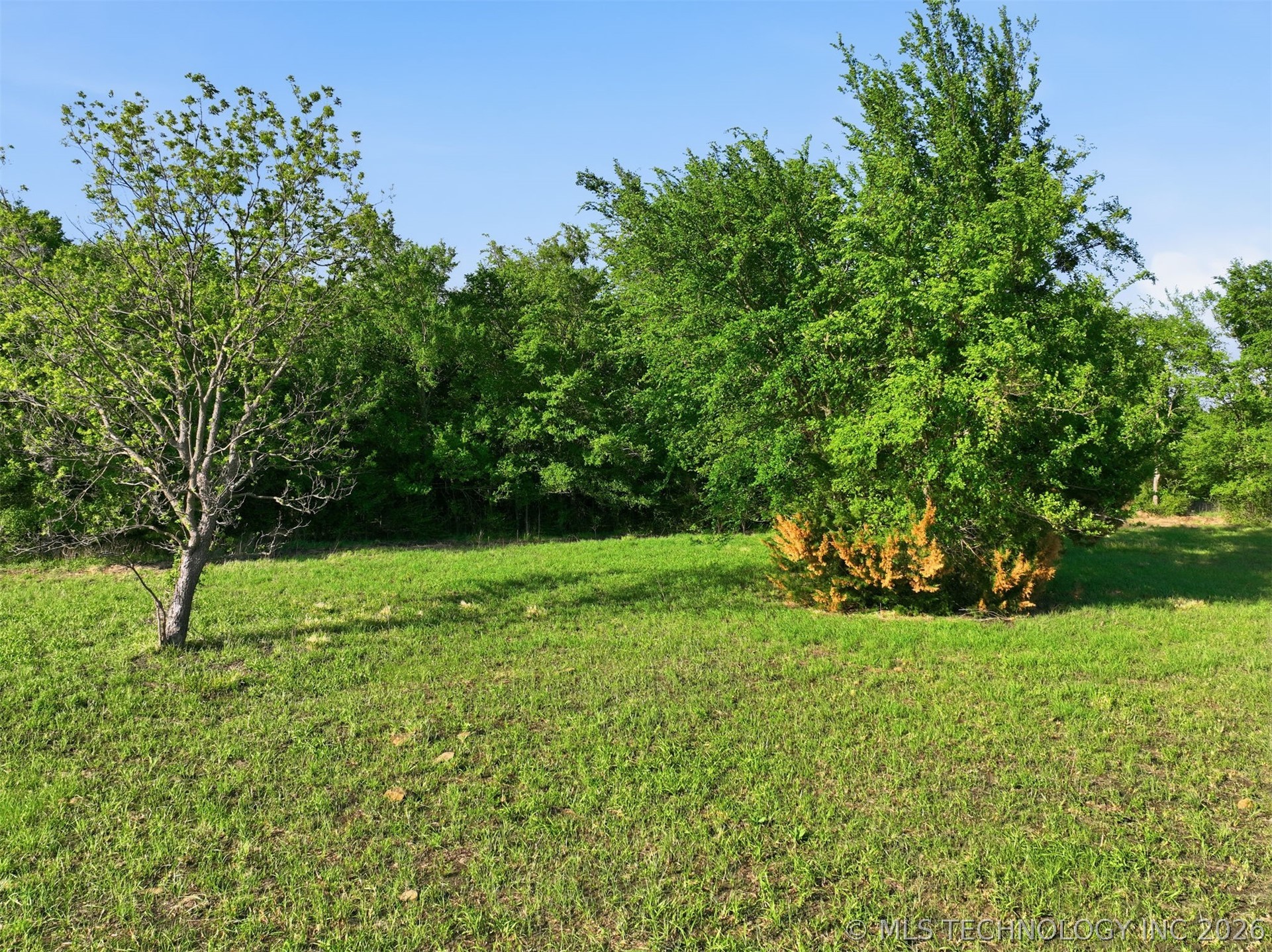8794 Western Drive Property Photo 34