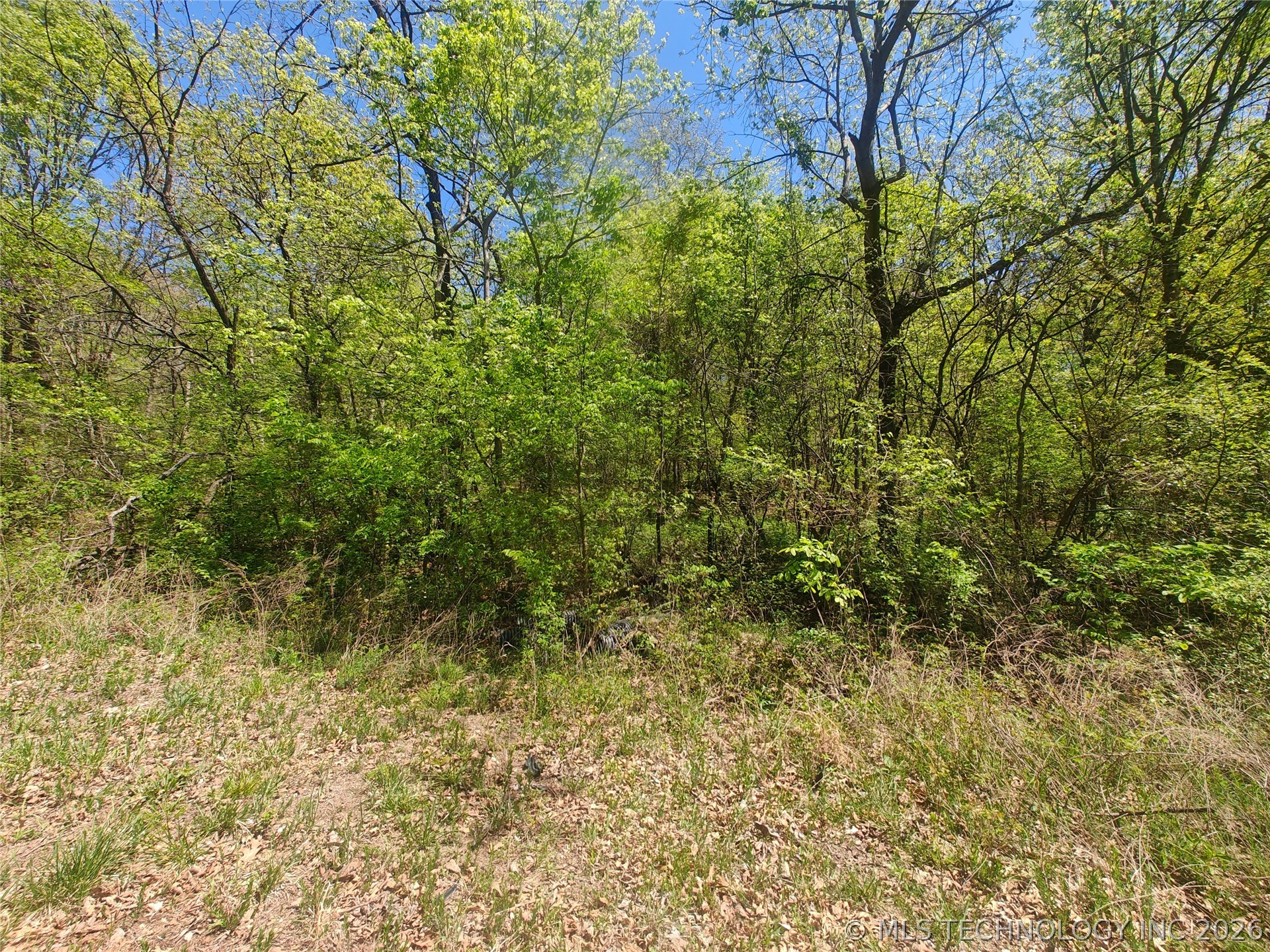31200 S Deer Run Road Property Photo 5