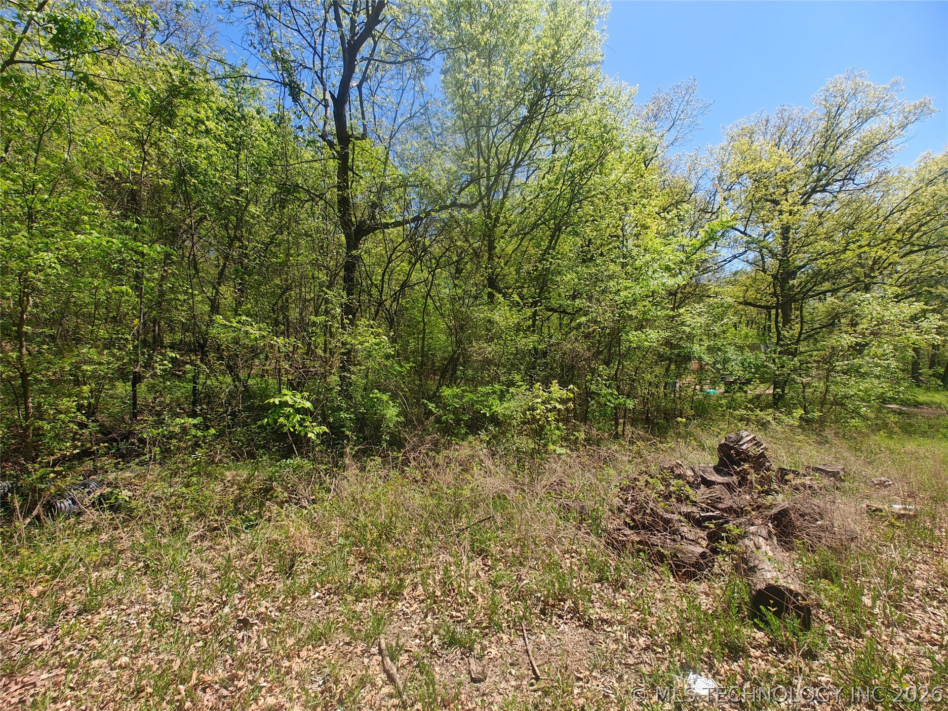 31200 S Deer Run Road Property Photo 6