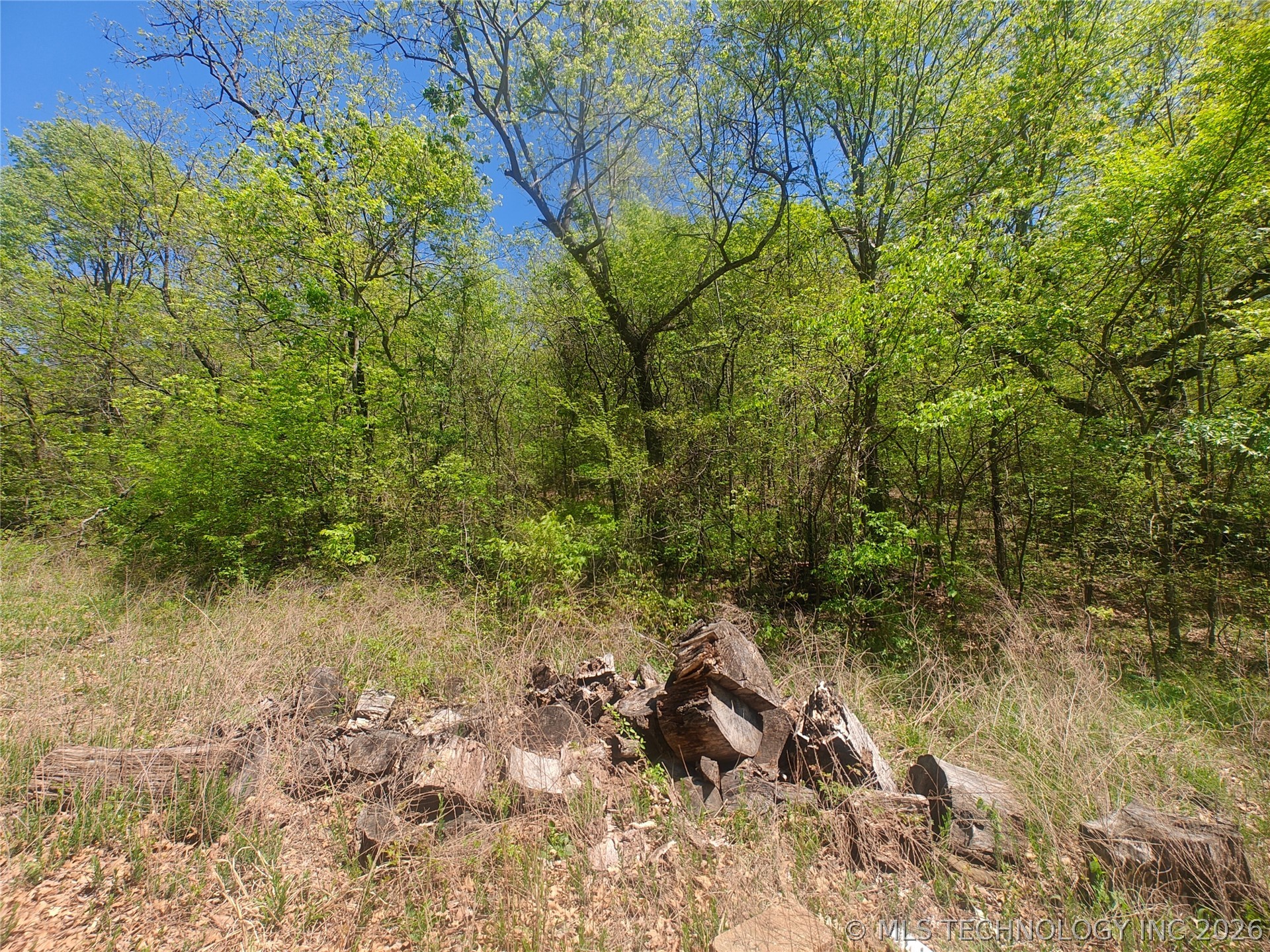 31200 S Deer Run Road Property Photo 8