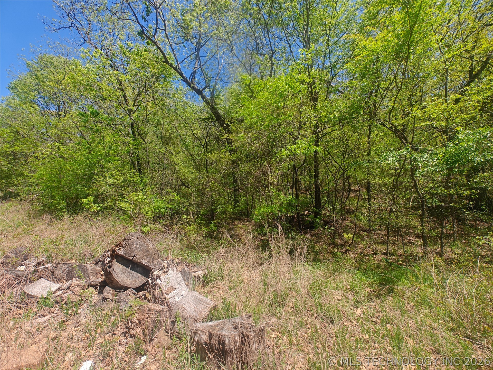 31200 S Deer Run Road Property Photo 9