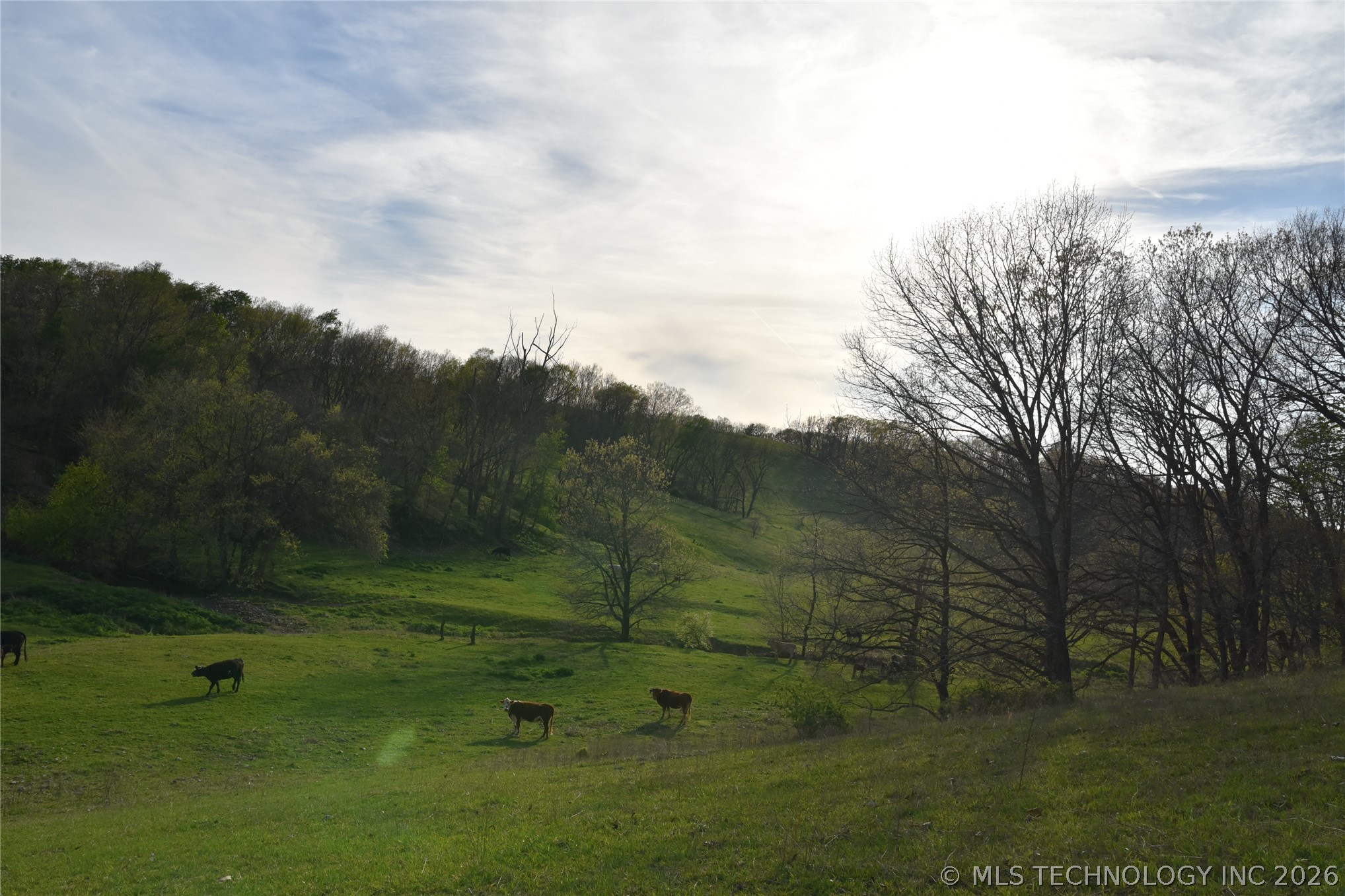 45507 S 660 Road Property Photo 14