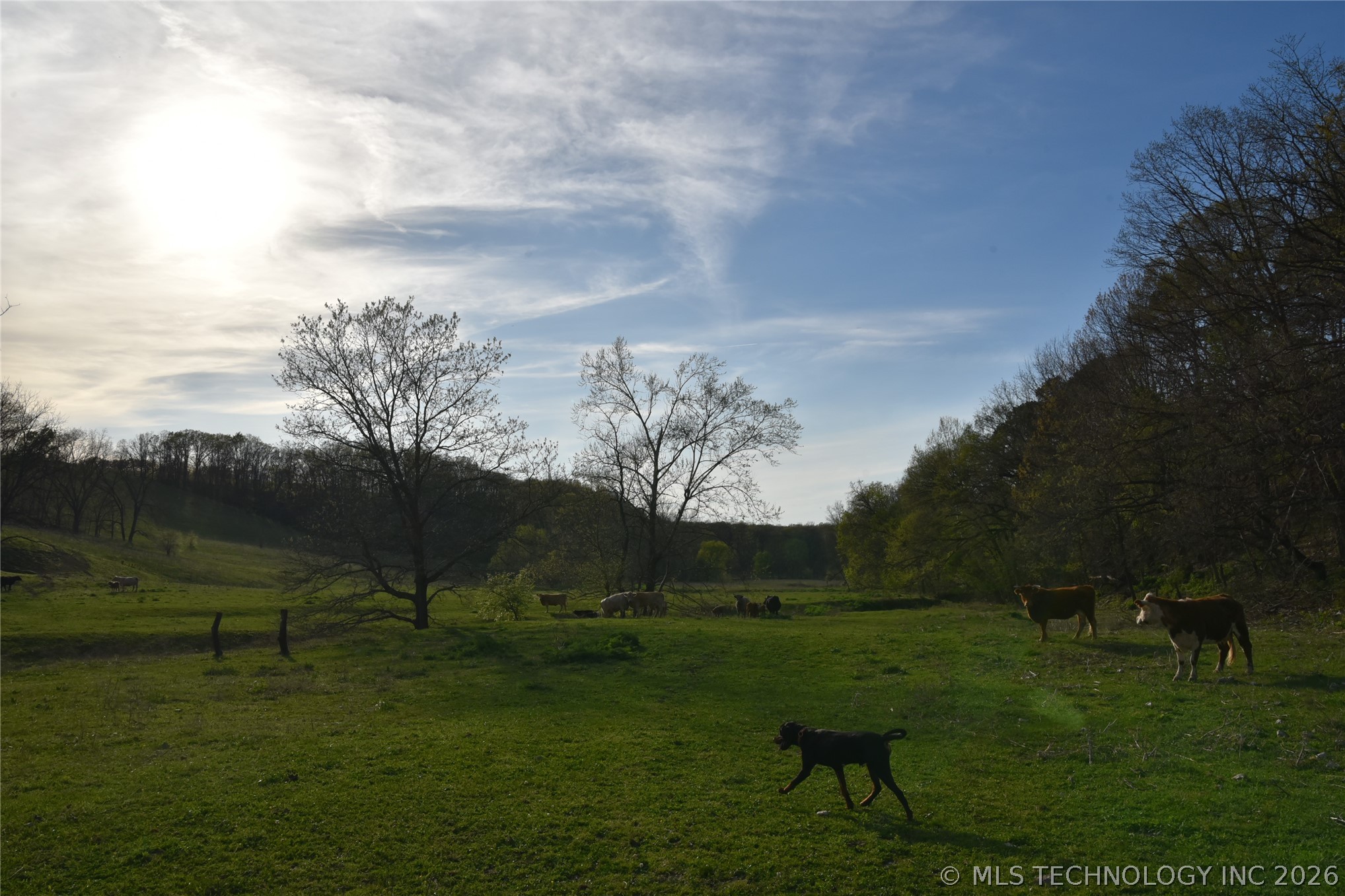 45507 S 660 Road Property Photo 15