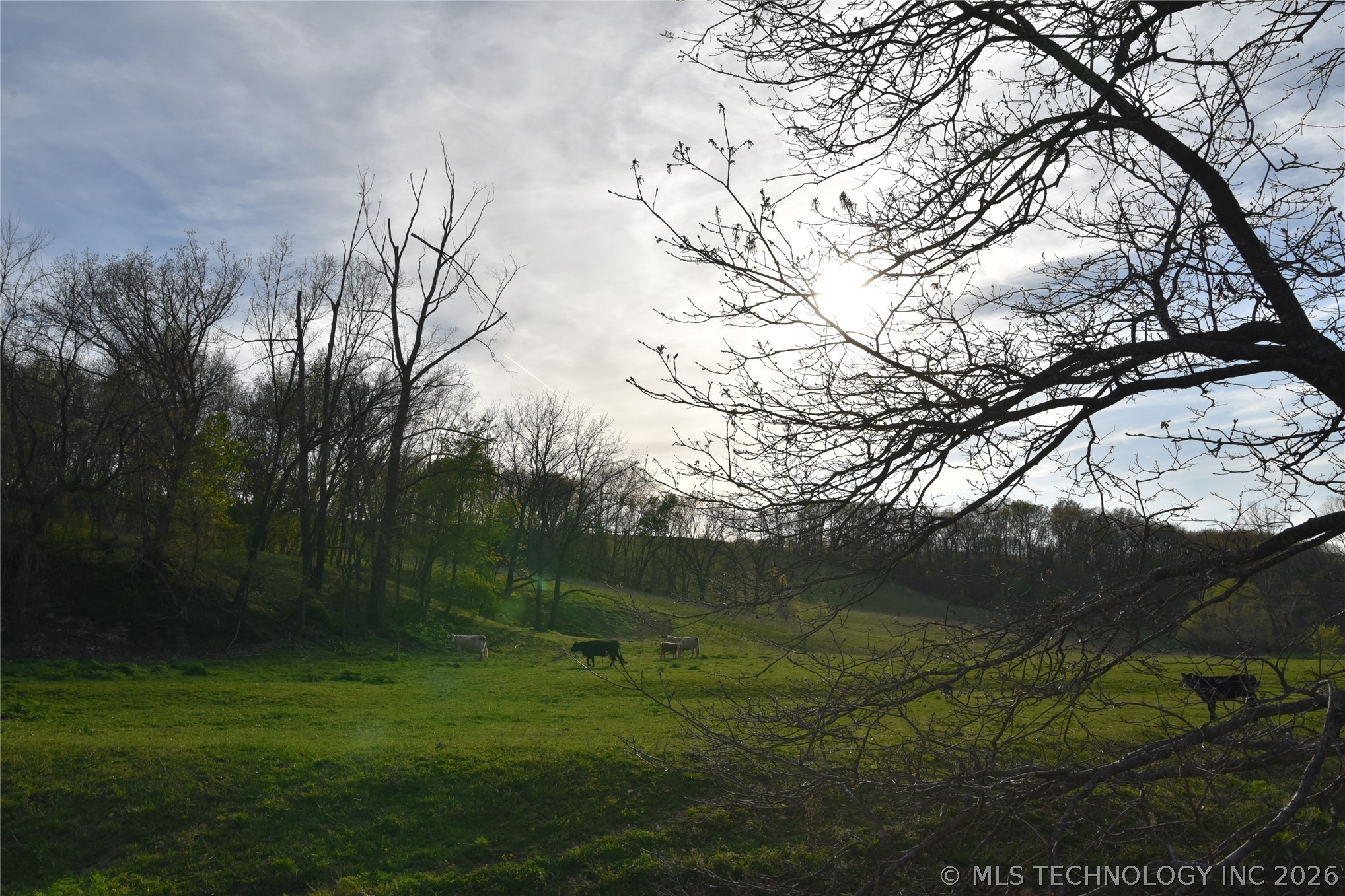 45507 S 660 Road Property Photo 18