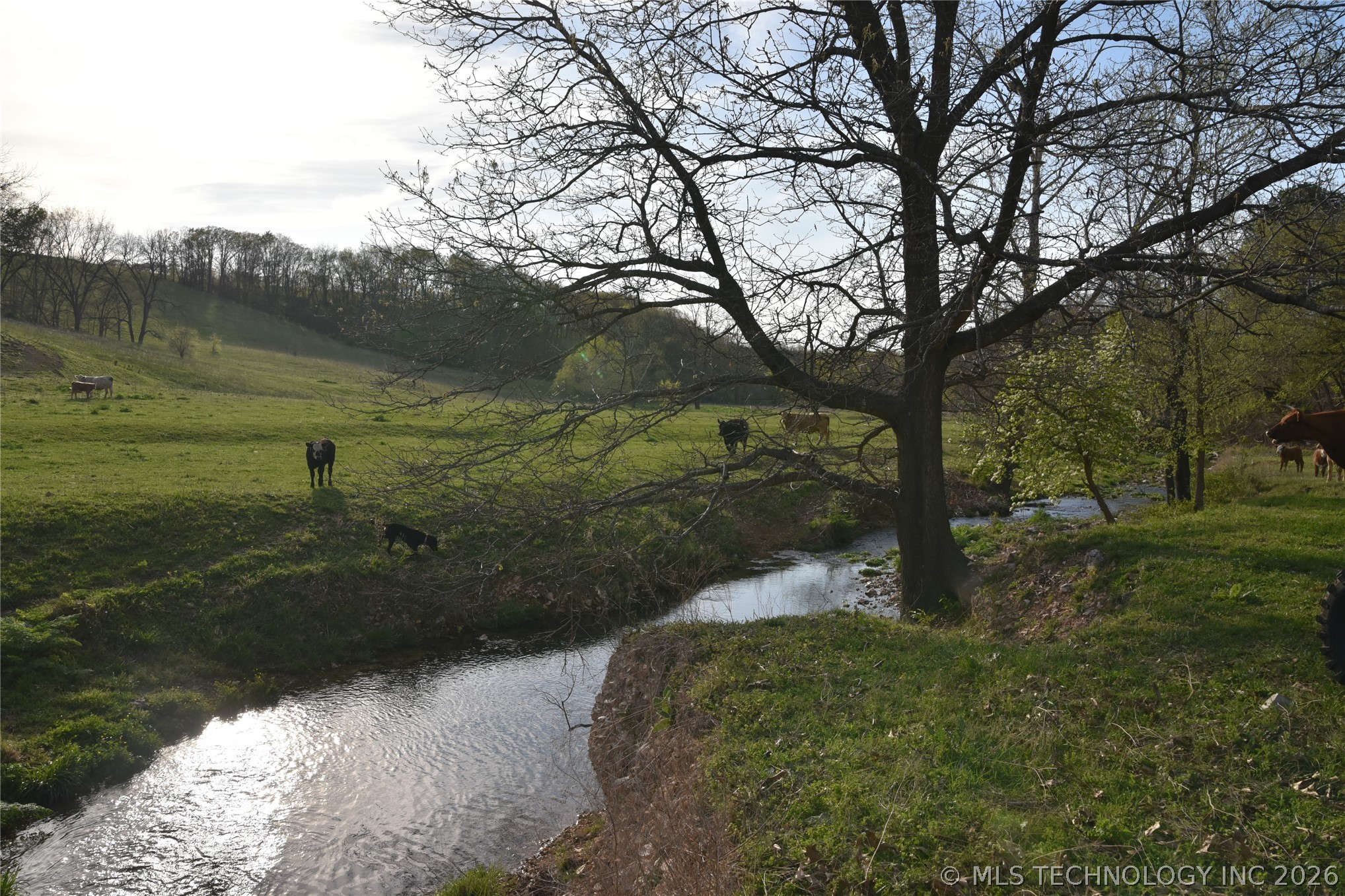 45507 S 660 Road Property Photo 20