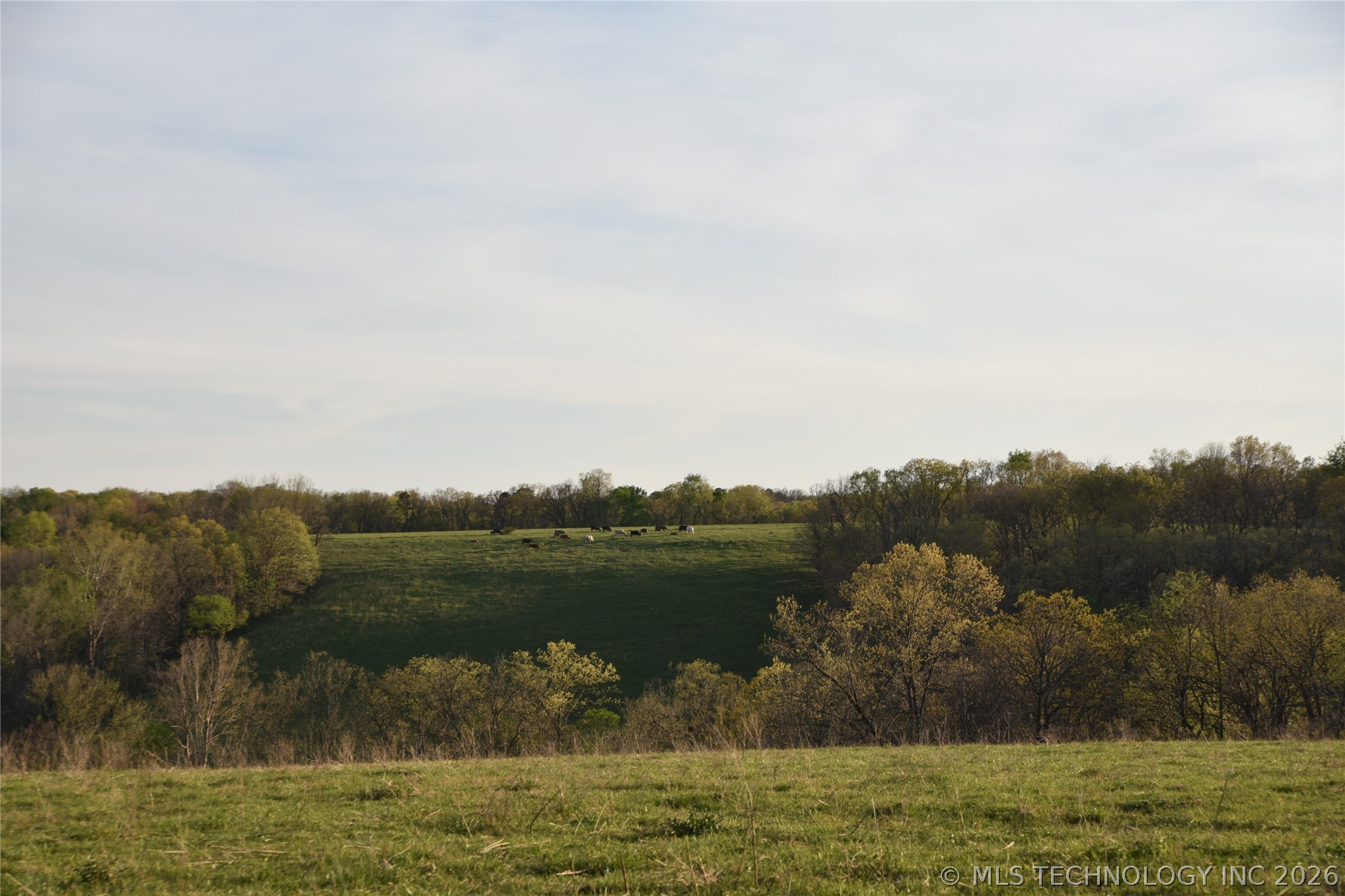 45507 S 660 Road Property Photo 35