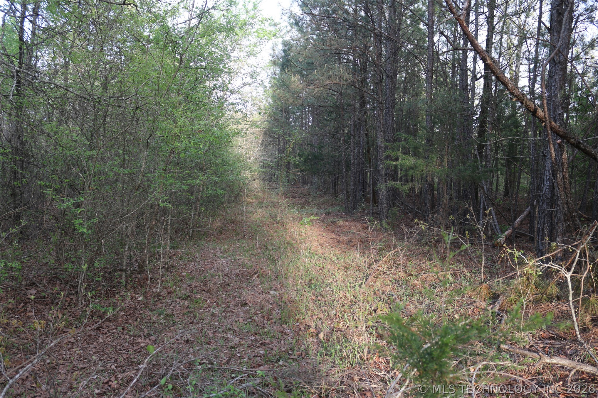 496 Wyr 56746 Road Property Photo 38