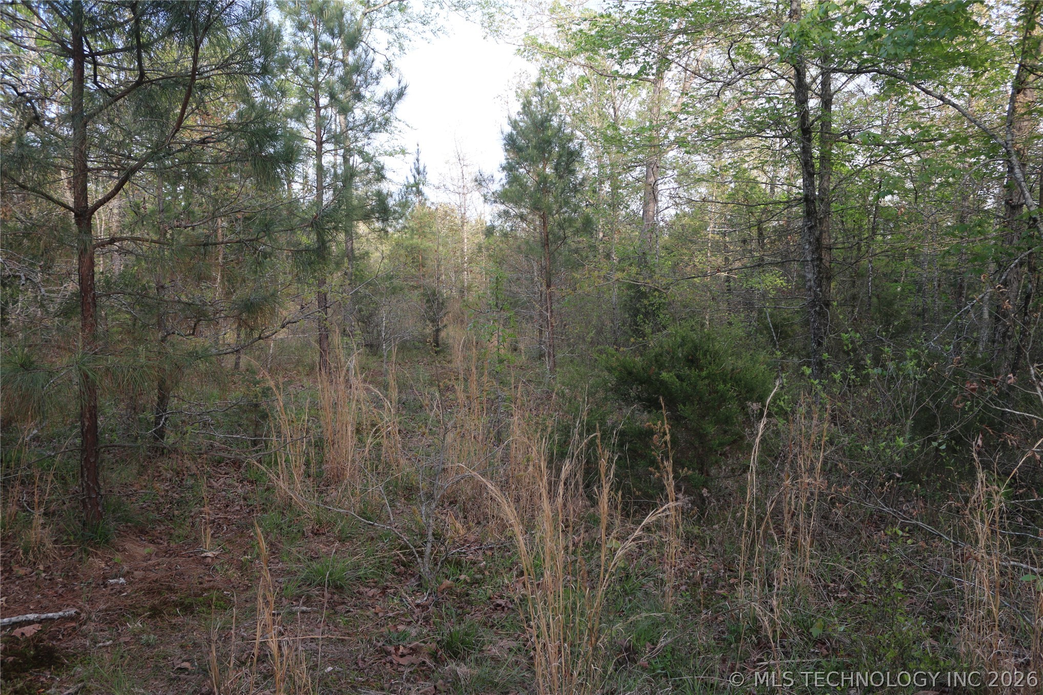 496 Wyr 56746 Road Property Photo 40