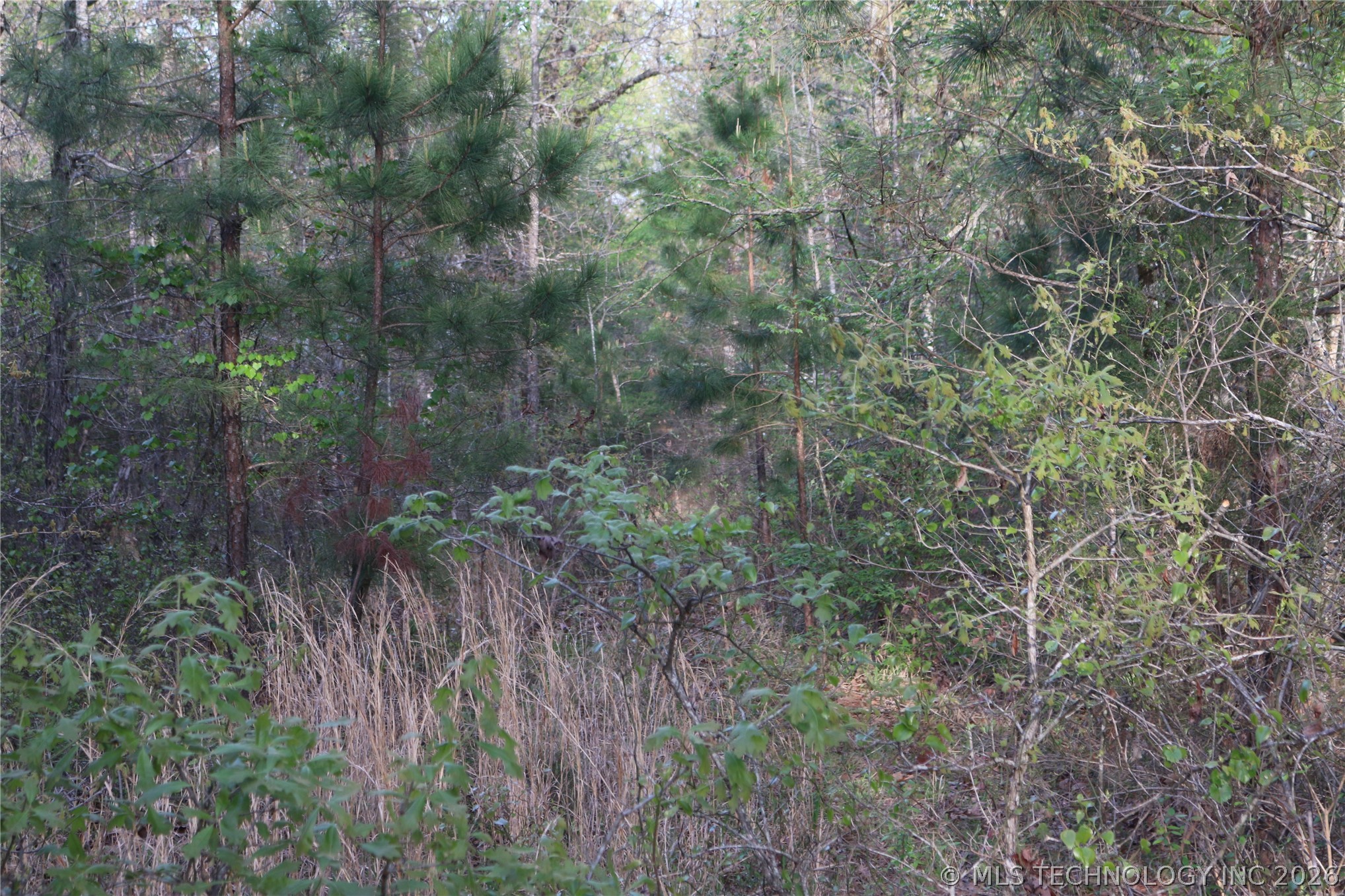 496 Wyr 56746 Road Property Photo 41