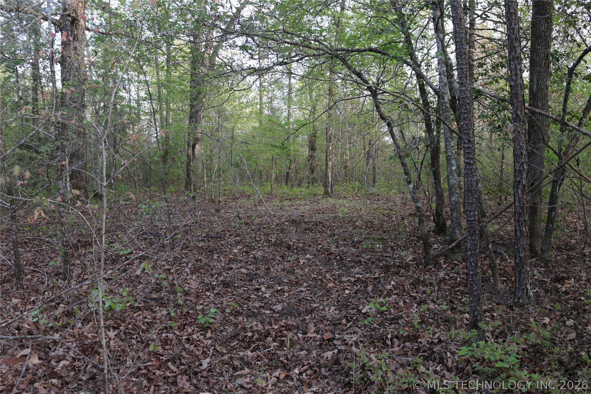 496 Wyr 56746 Road Property Photo 47