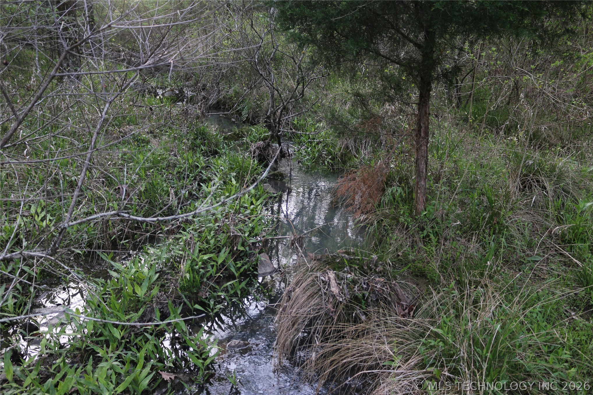 496 Wyr 56746 Road Property Photo 51