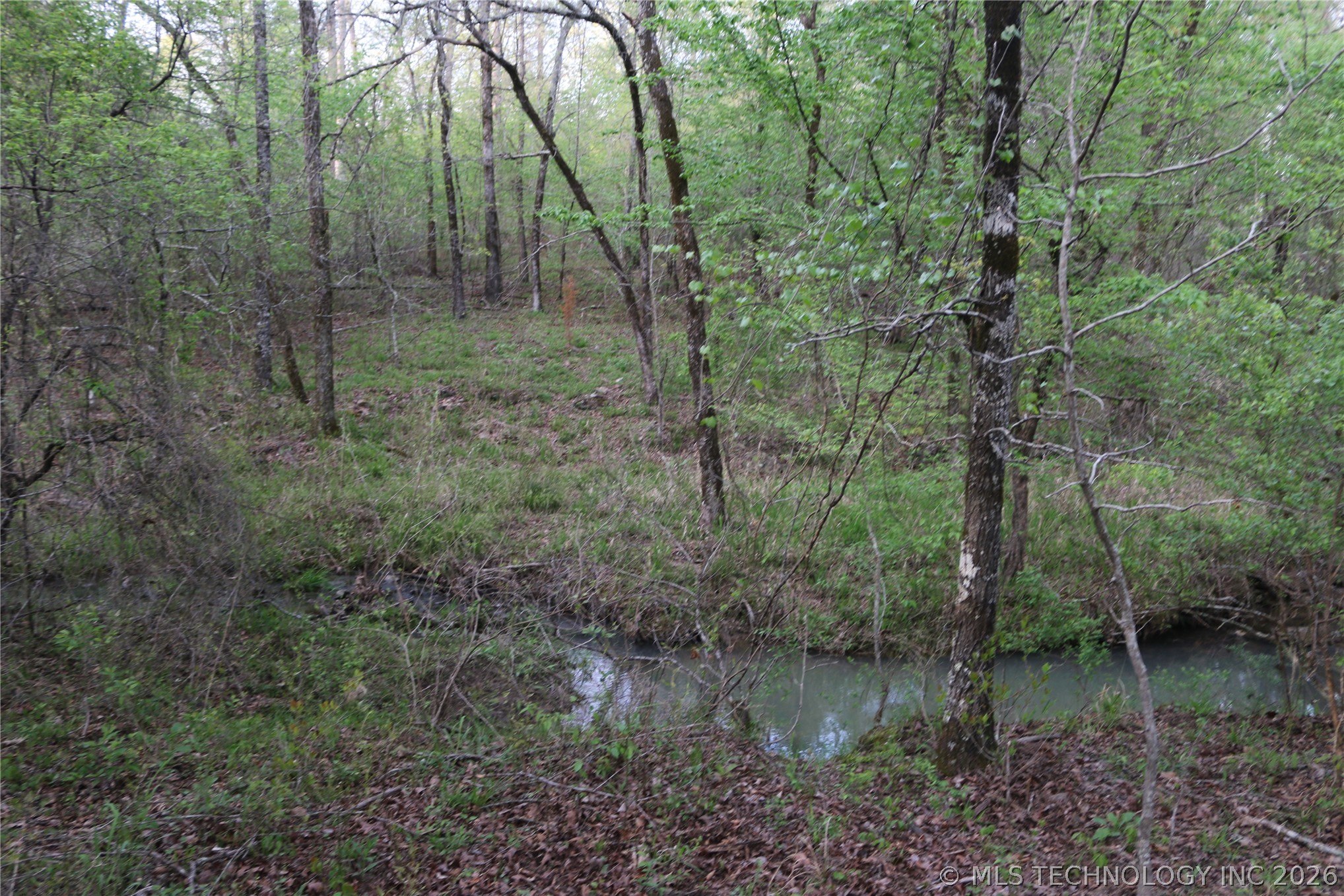 496 Wyr 56746 Road Property Photo 55