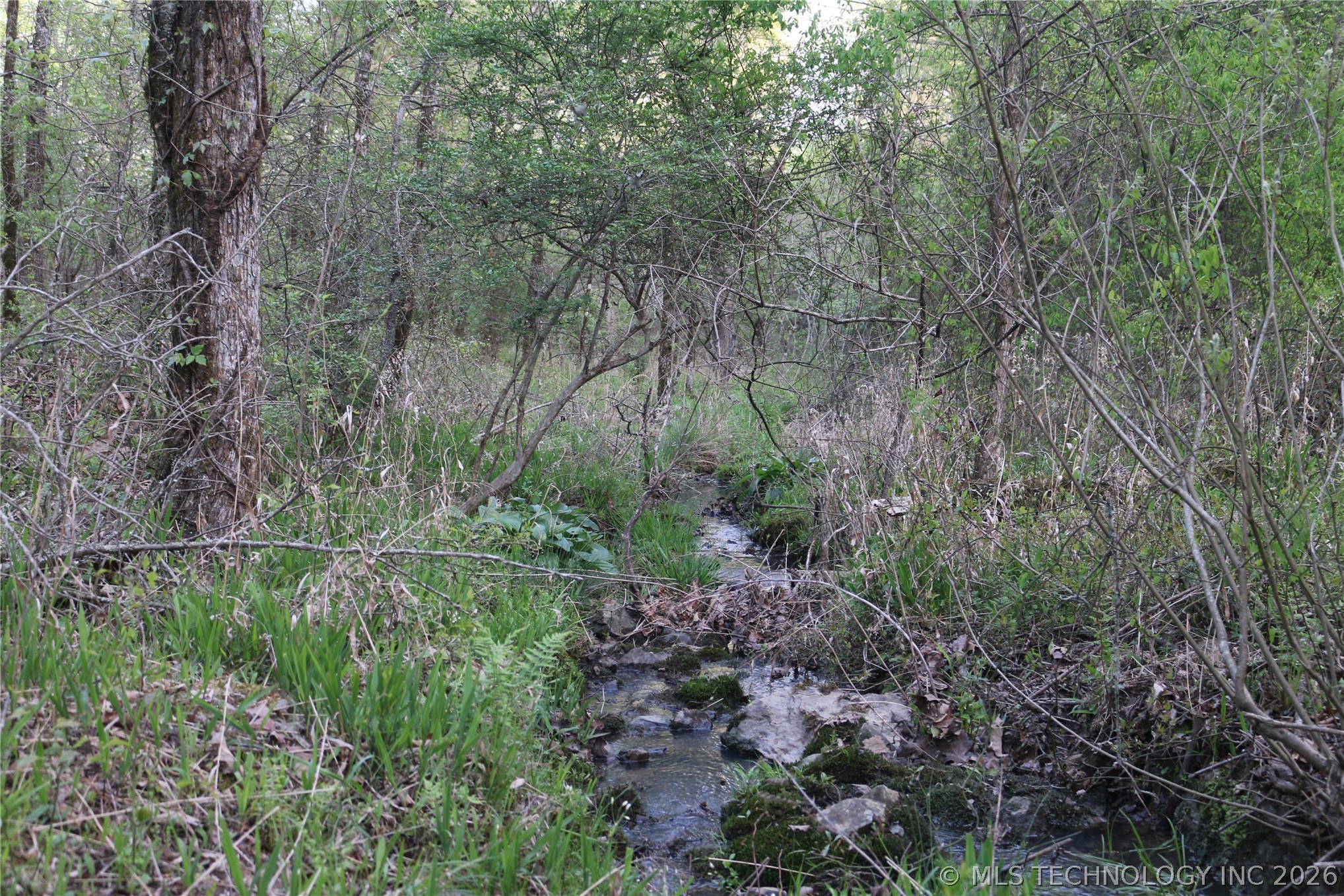 496 Wyr 56746 Road Property Photo 62