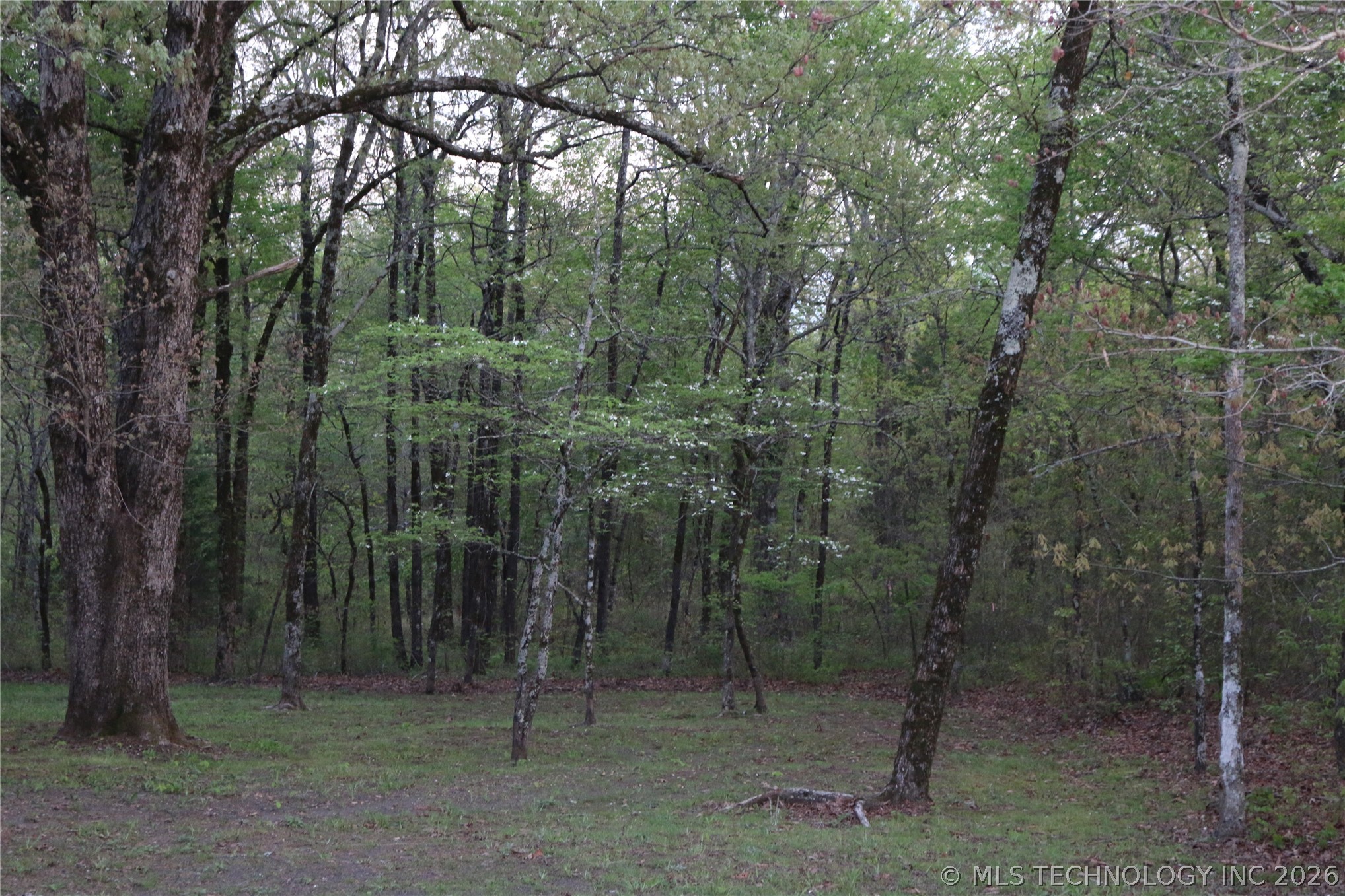 496 Wyr 56746 Road Property Photo 68