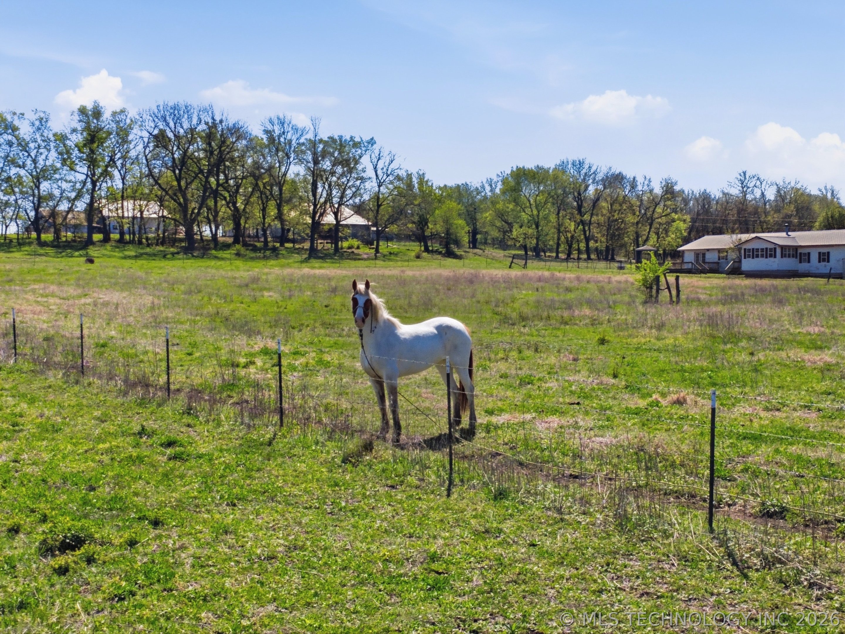 439092 E 40 Road Property Photo 5