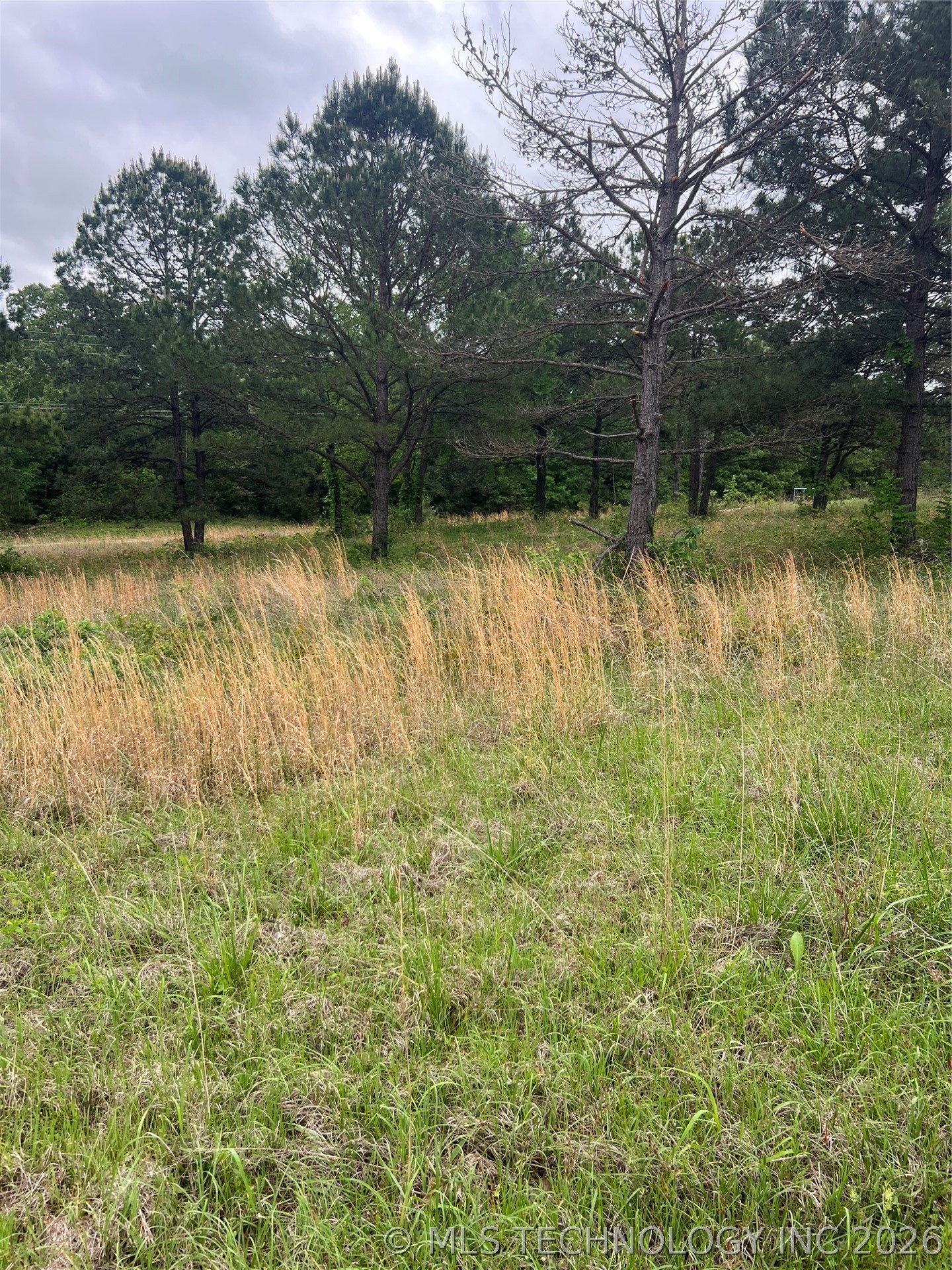 1162 N County Road 4280 Road Property Photo 4