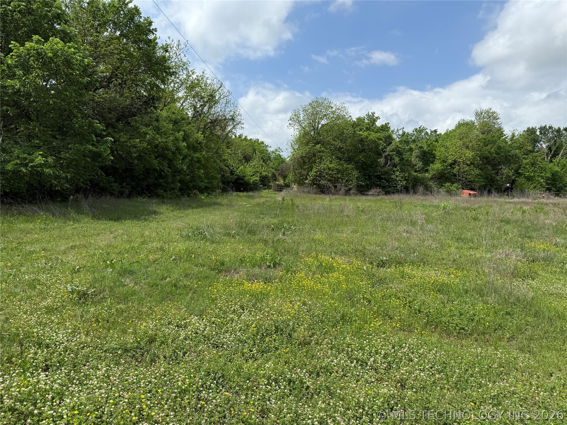 000 Carpenters Bluff Road Property Photo 12