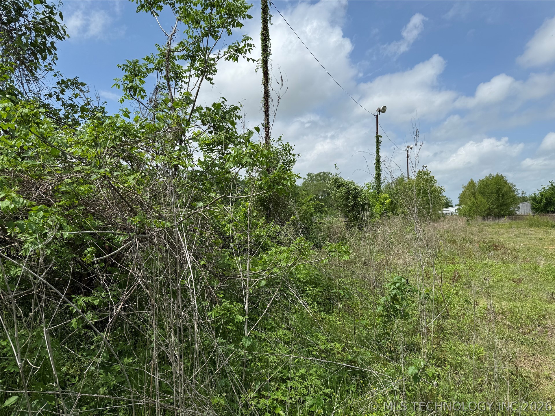 000 Carpenters Bluff Road Property Photo 13