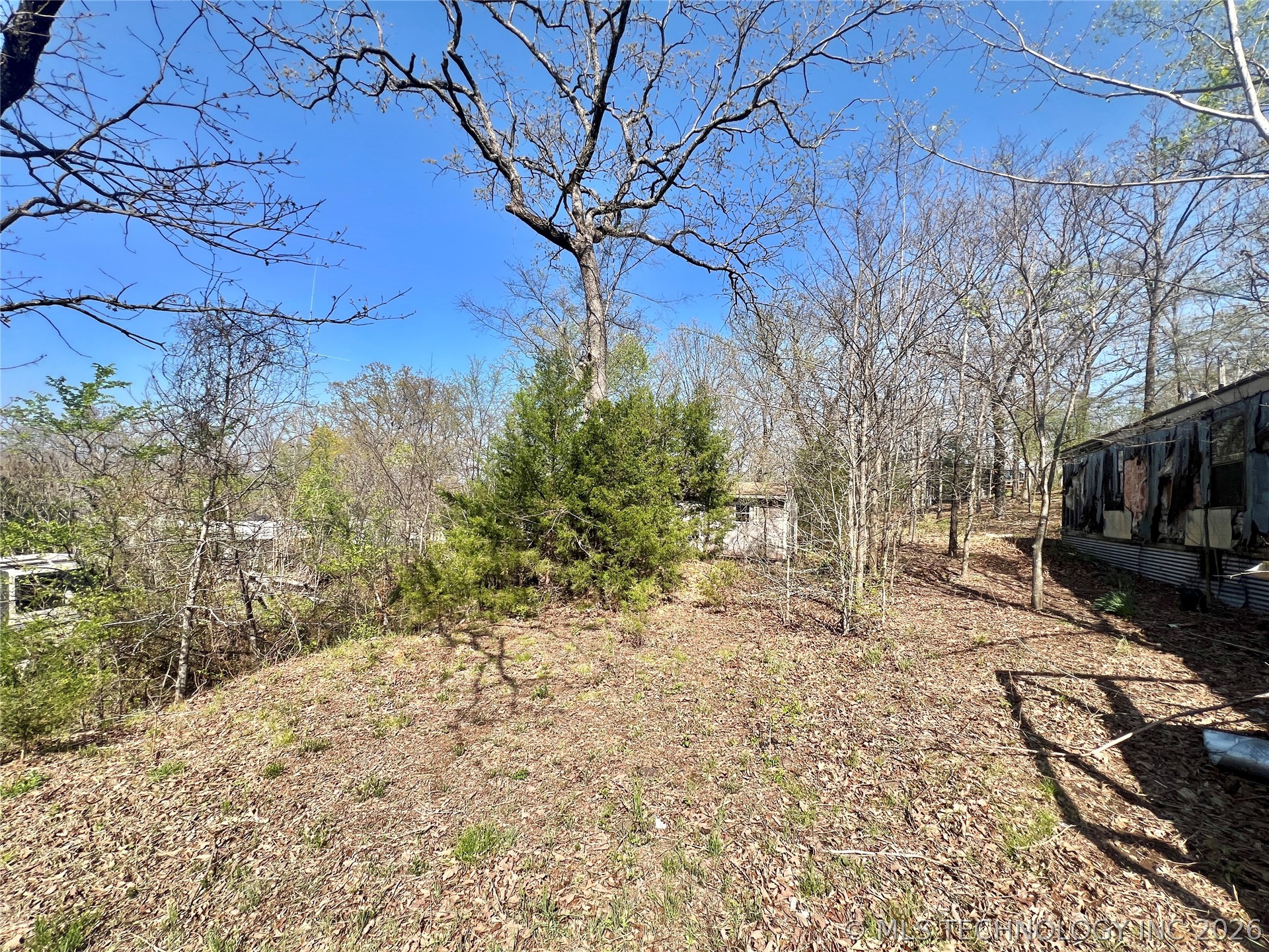 35730 S Spaniard Creek Road Property Photo 8