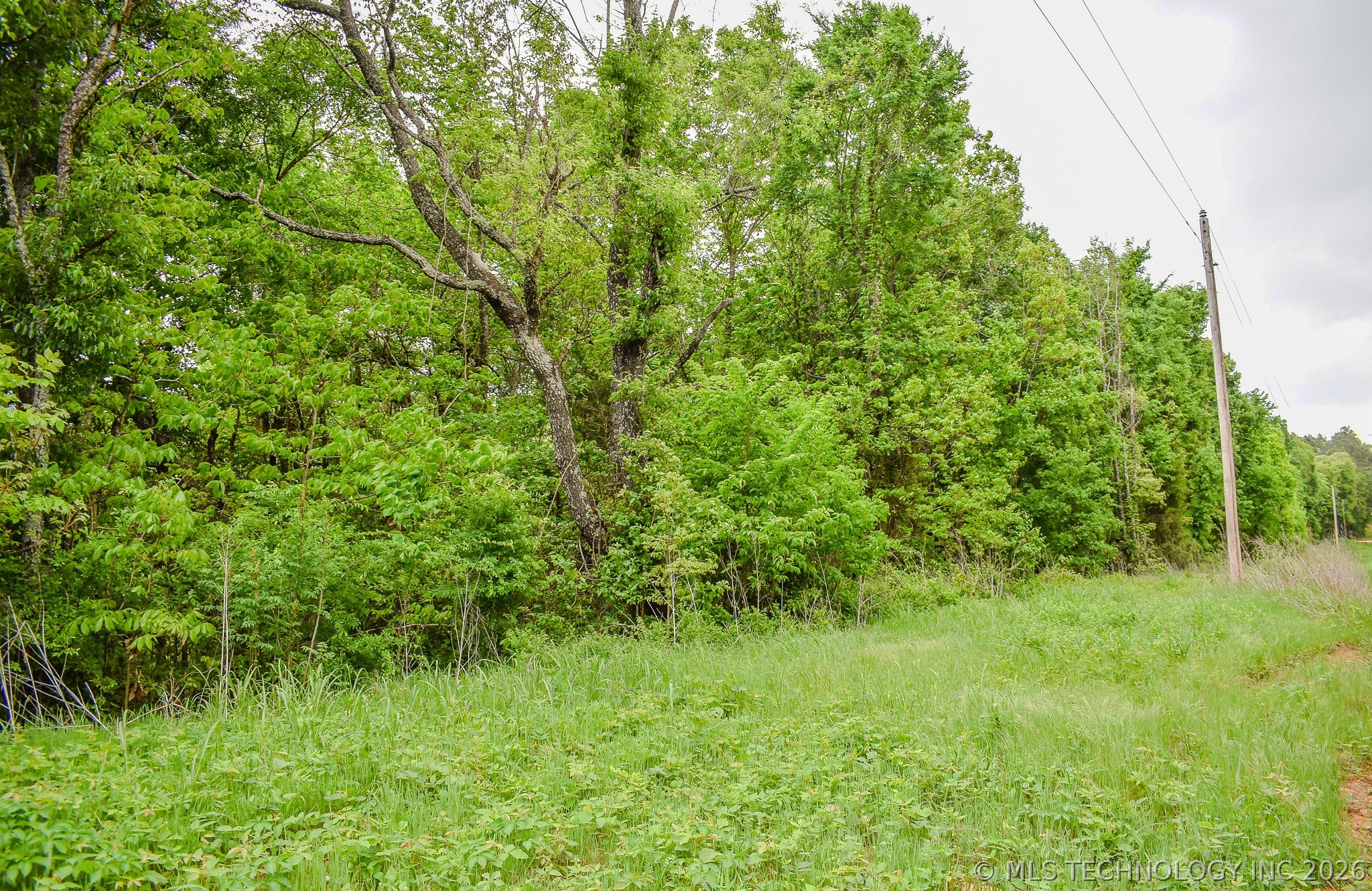 1 Fallon Road Property Photo 3