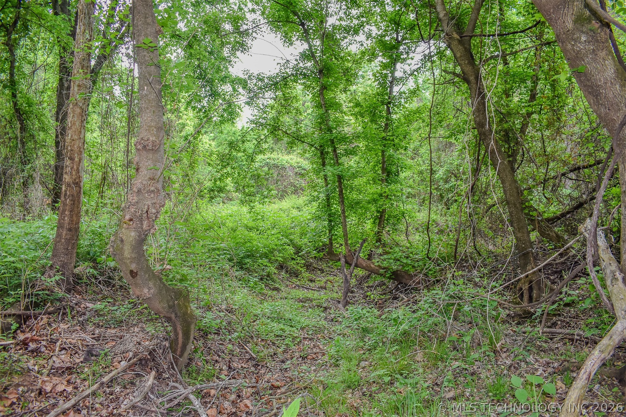 1 Fallon Road Property Photo 10
