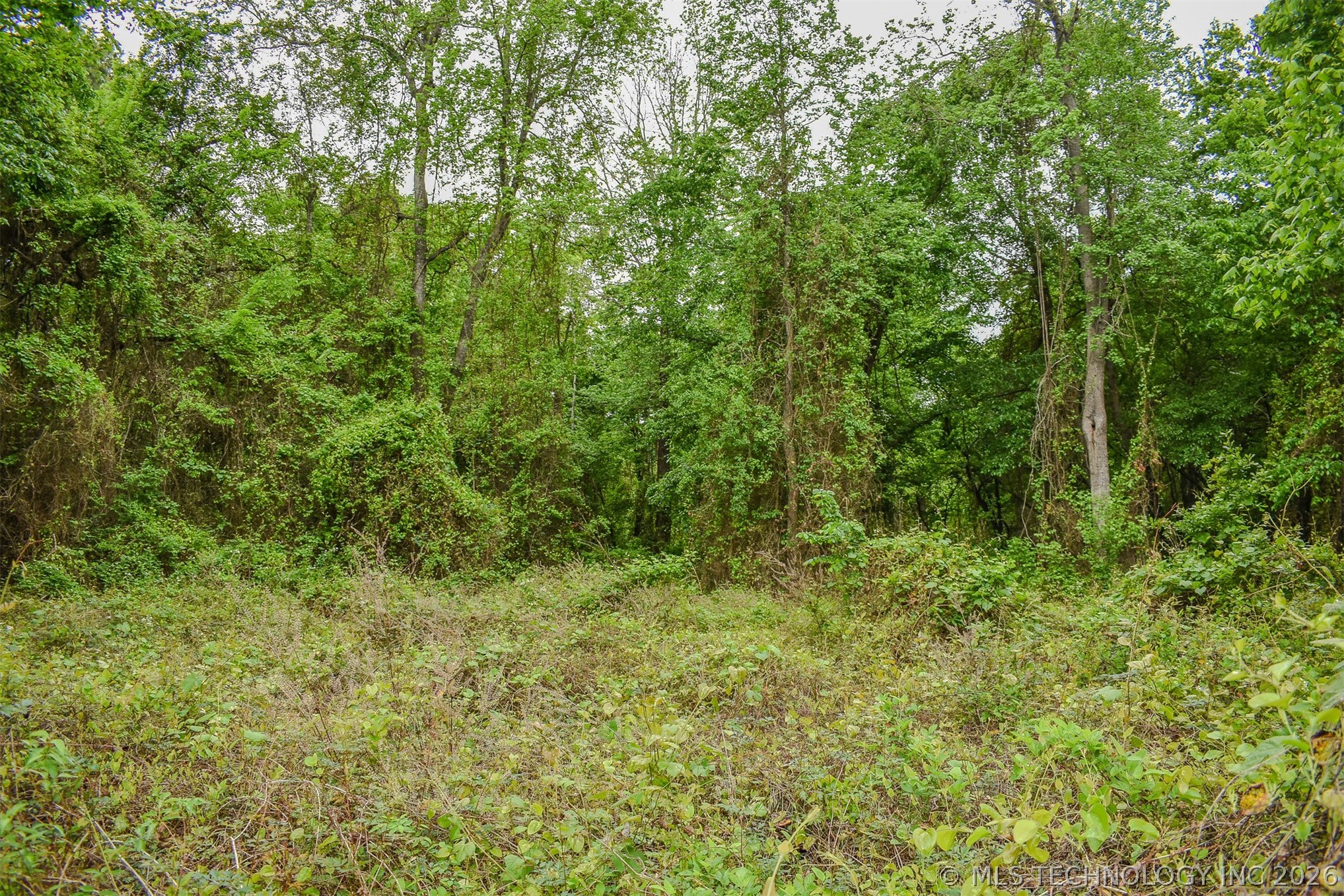 1 Fallon Road Property Photo 18