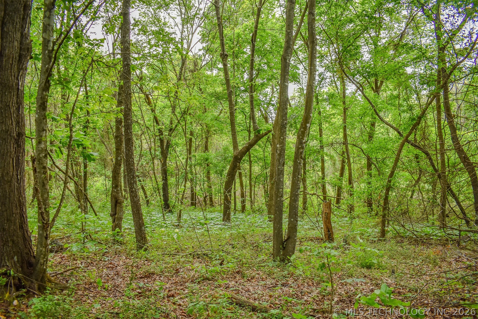 1 Fallon Road Property Photo 25