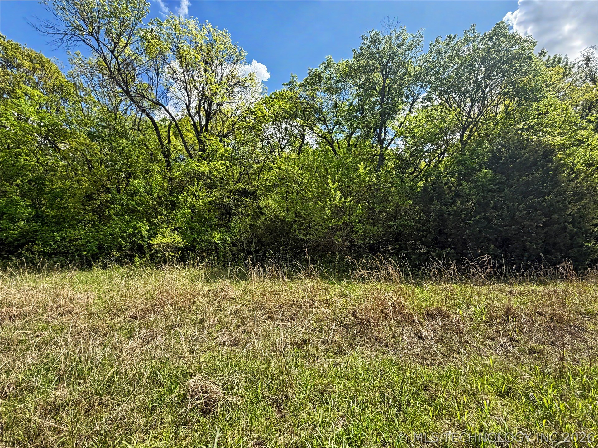 425 S Thunder Road Property Photo 22