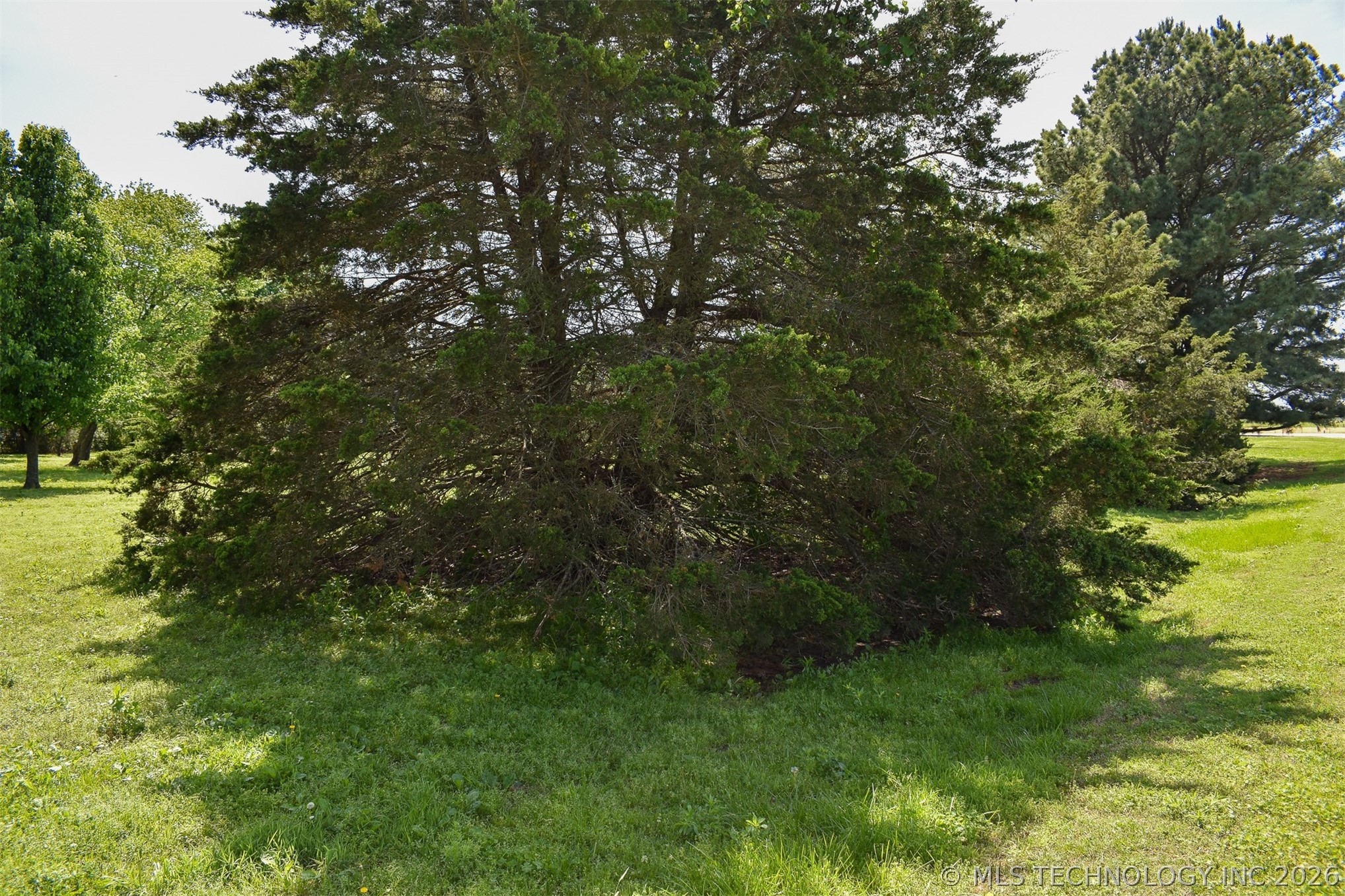 10164 Bloomfield North Property Photo 56