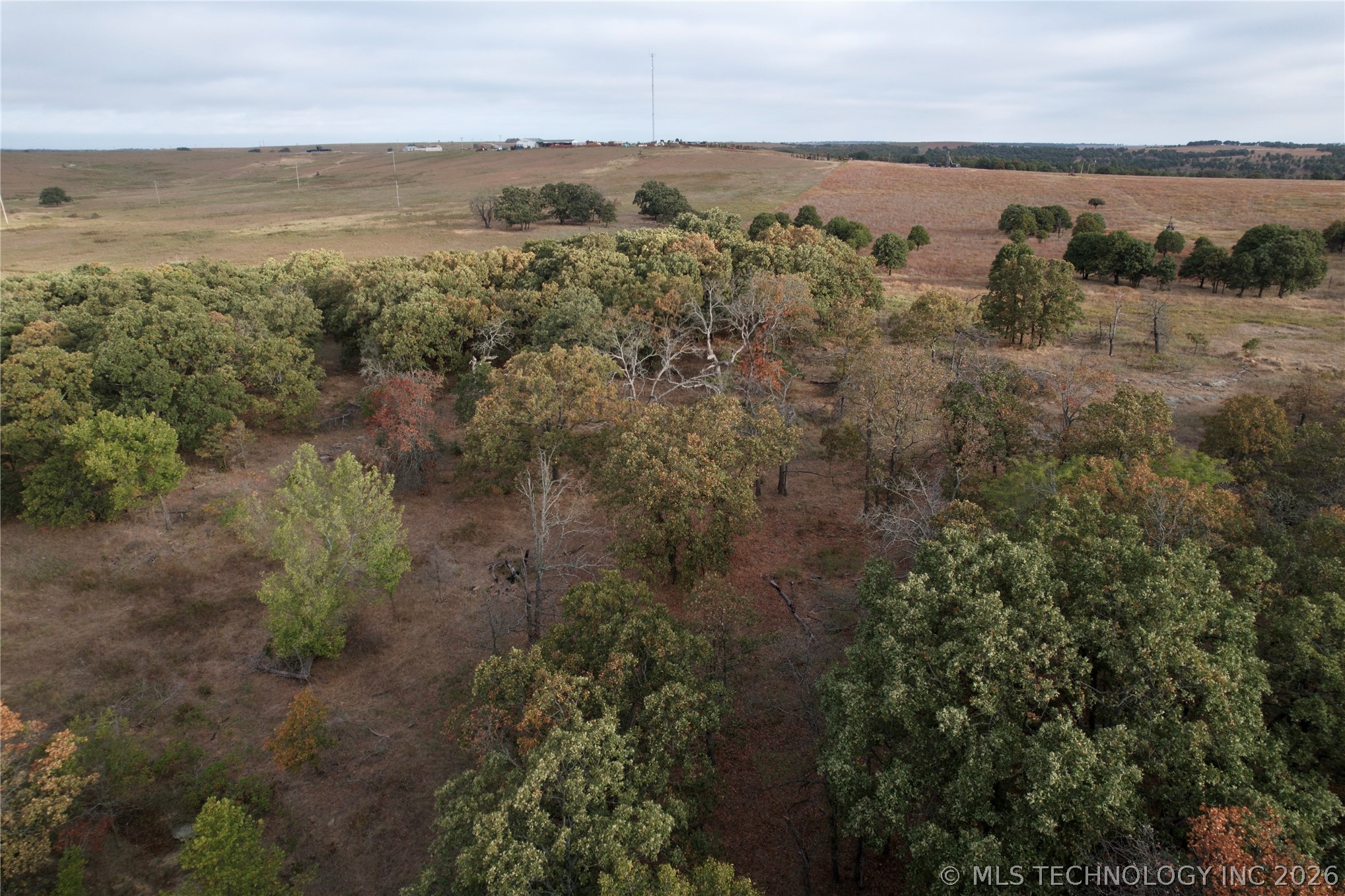 160 Bowring Road Property Photo 28