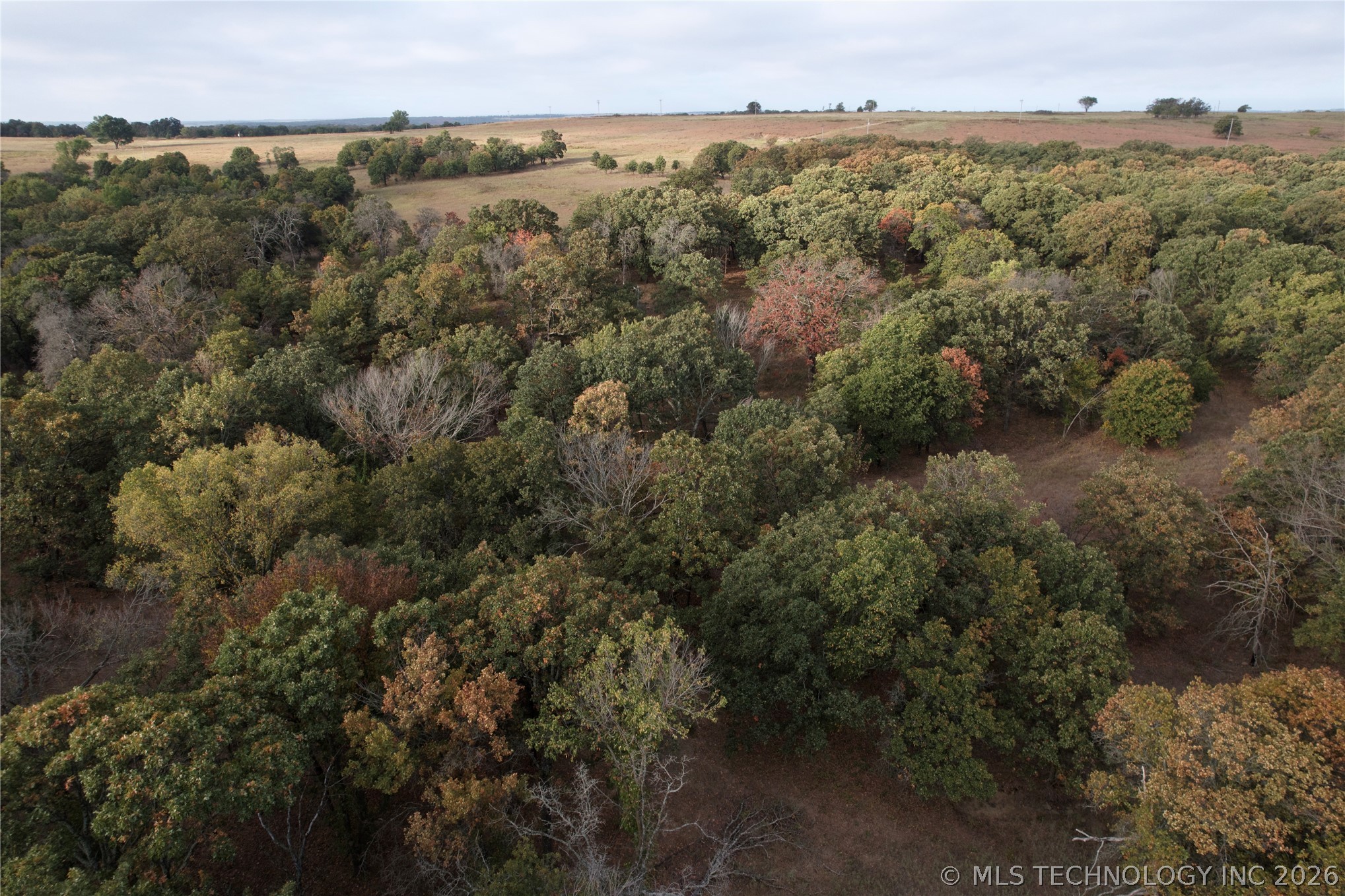 158 Bowring Road Property Photo 8