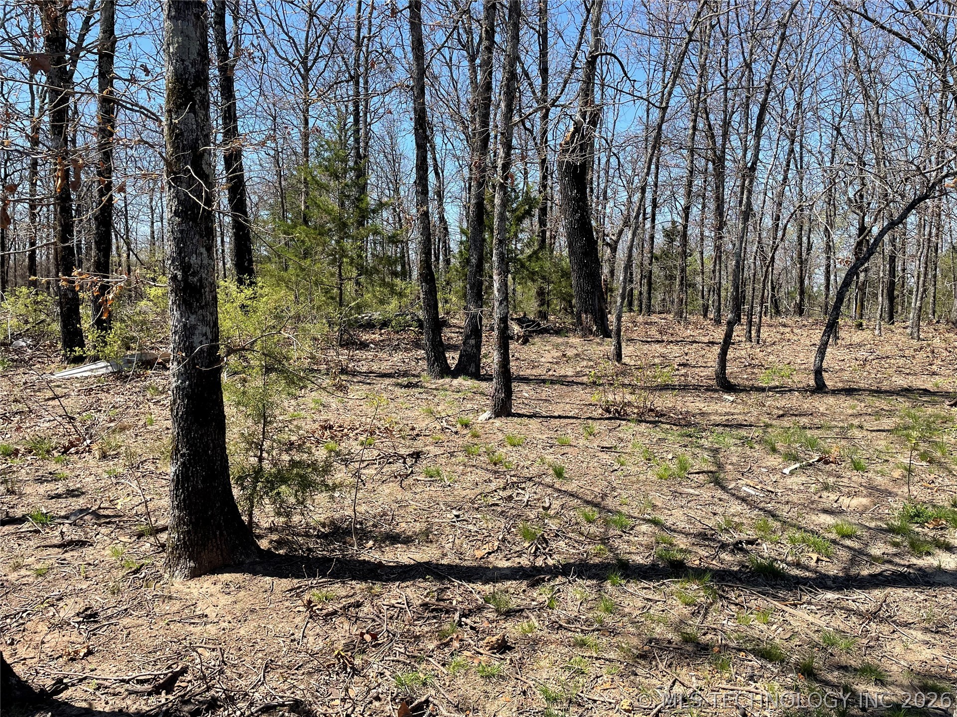 32350 S 559 Road Property Photo 6