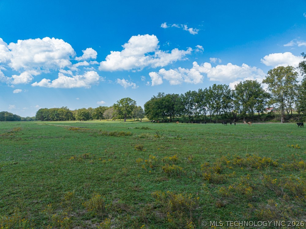 Hwy 82 Property Photo 4