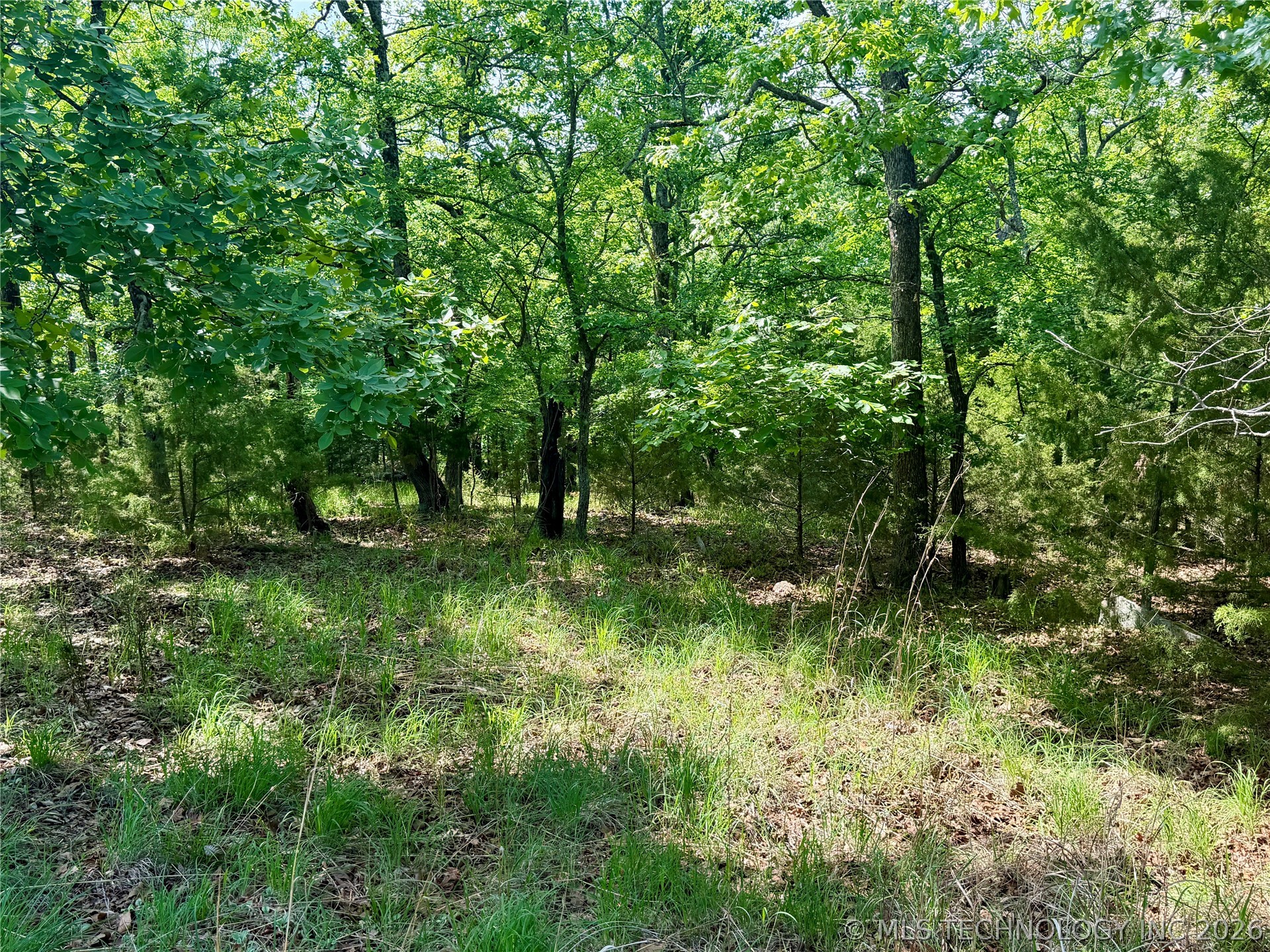 2613739 Property Photo 2