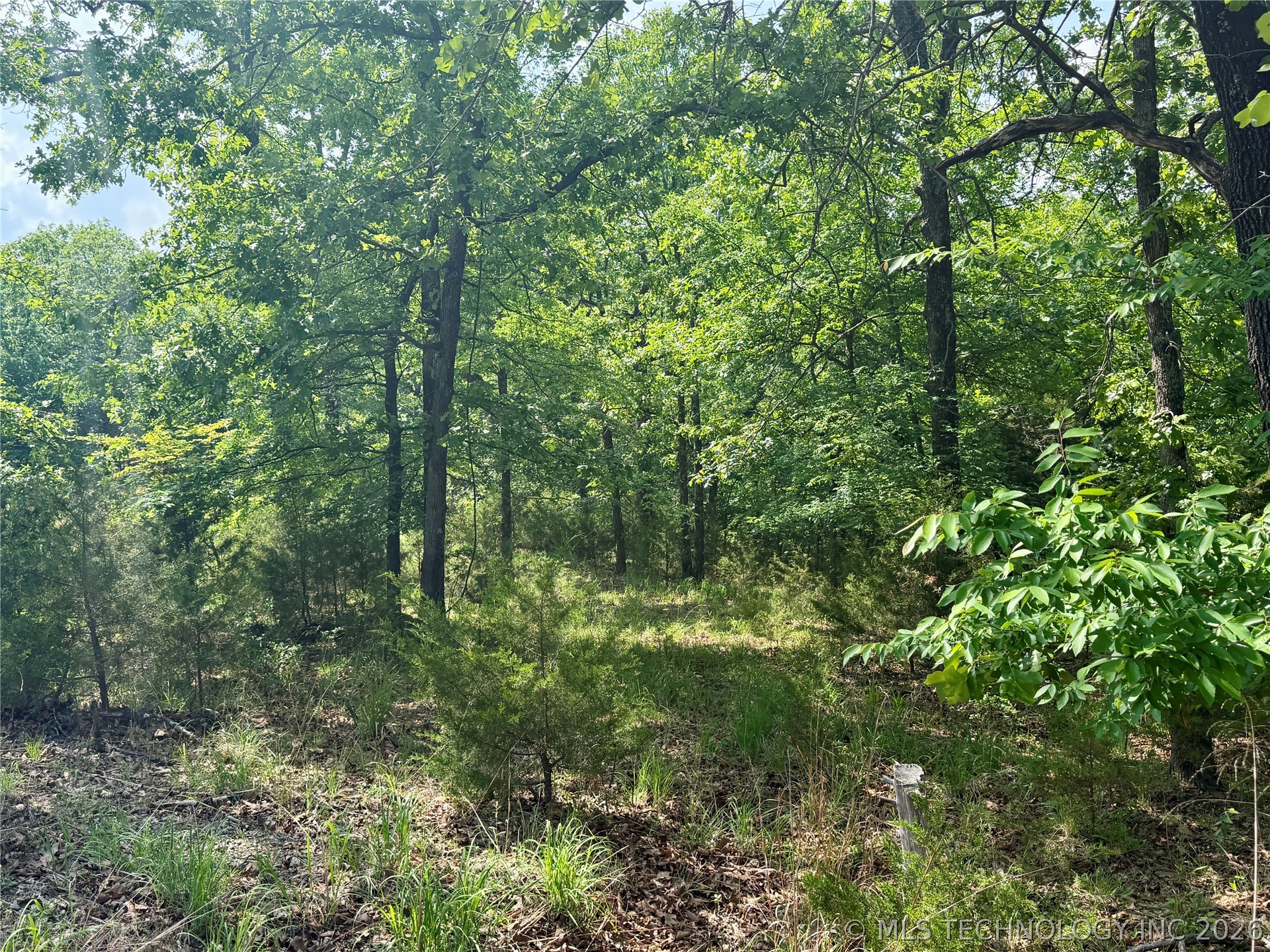2613739 Property Photo 3