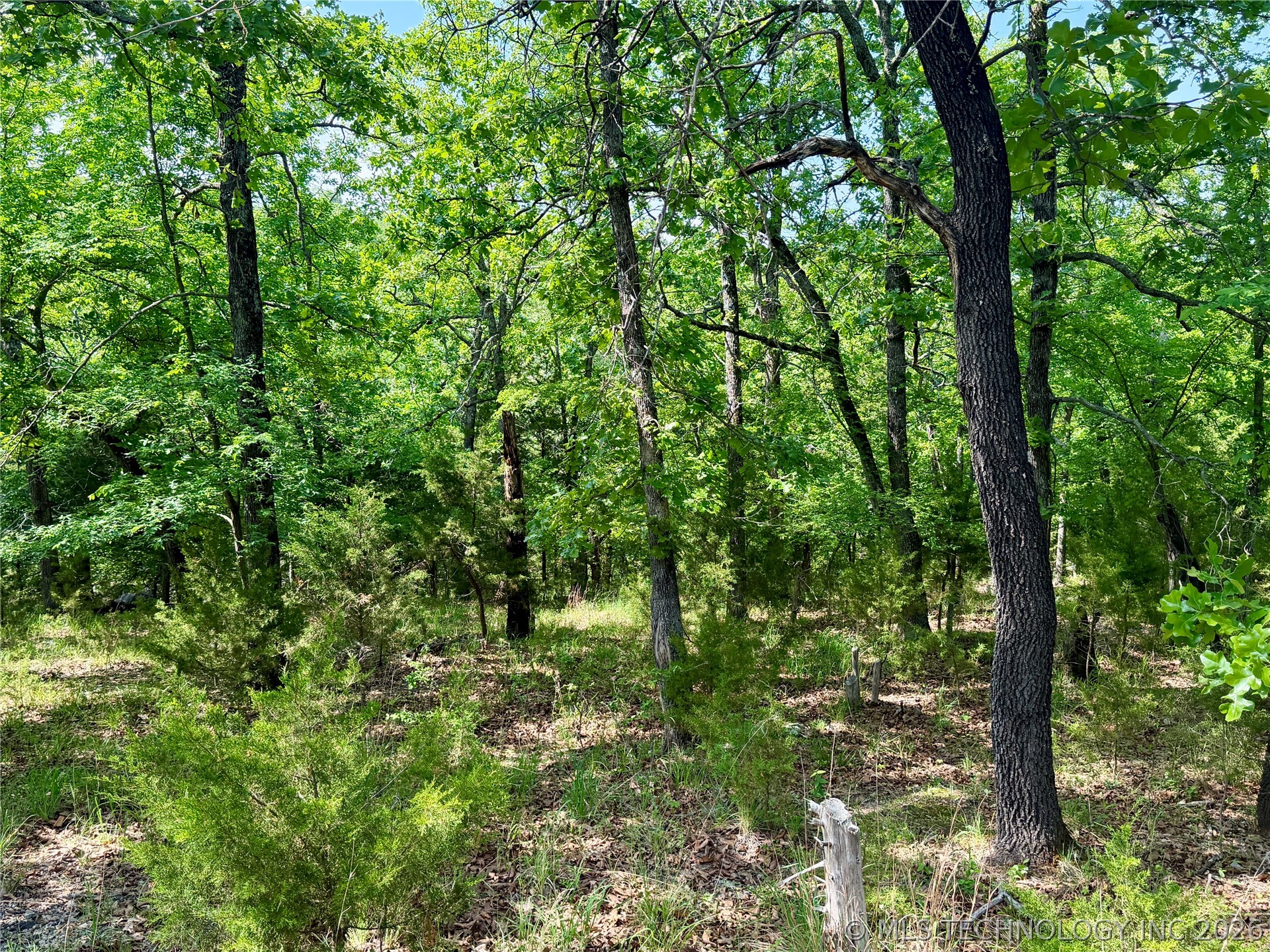 2613739 Property Photo 4